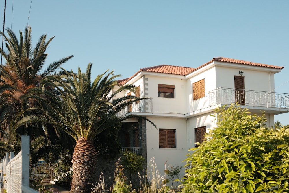 a house with a palm tree in front of it