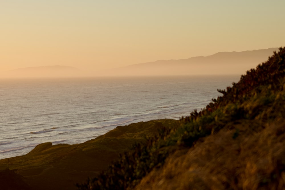 a view of the ocean from a hill