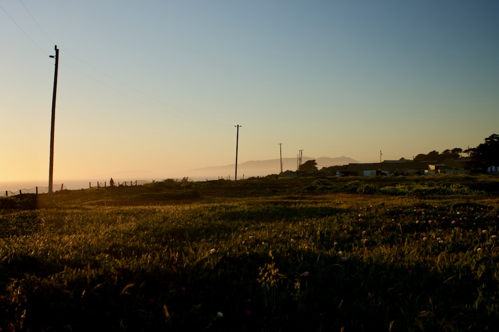 a grassy field with power lines in the distance