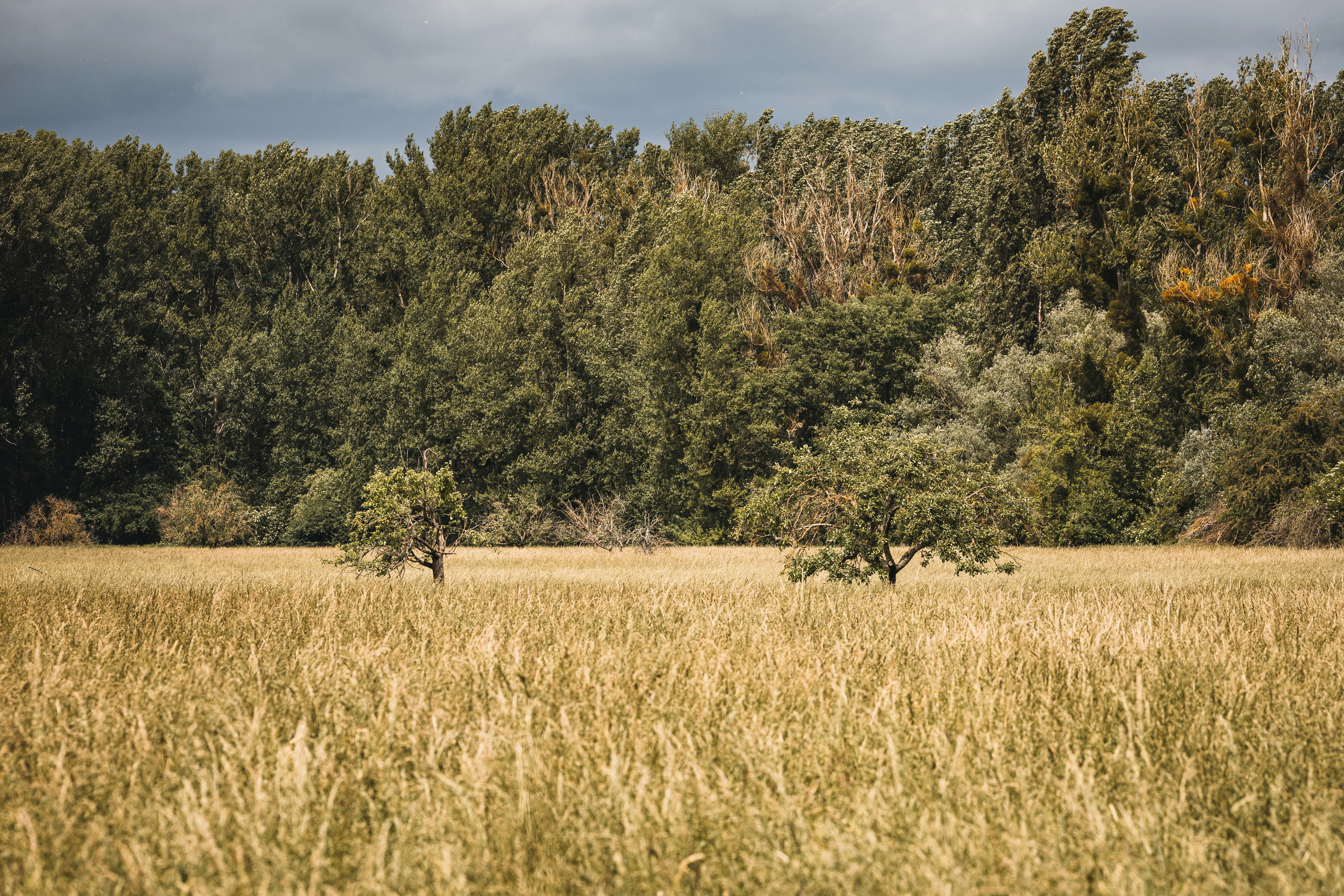 Photo by timonreinhard