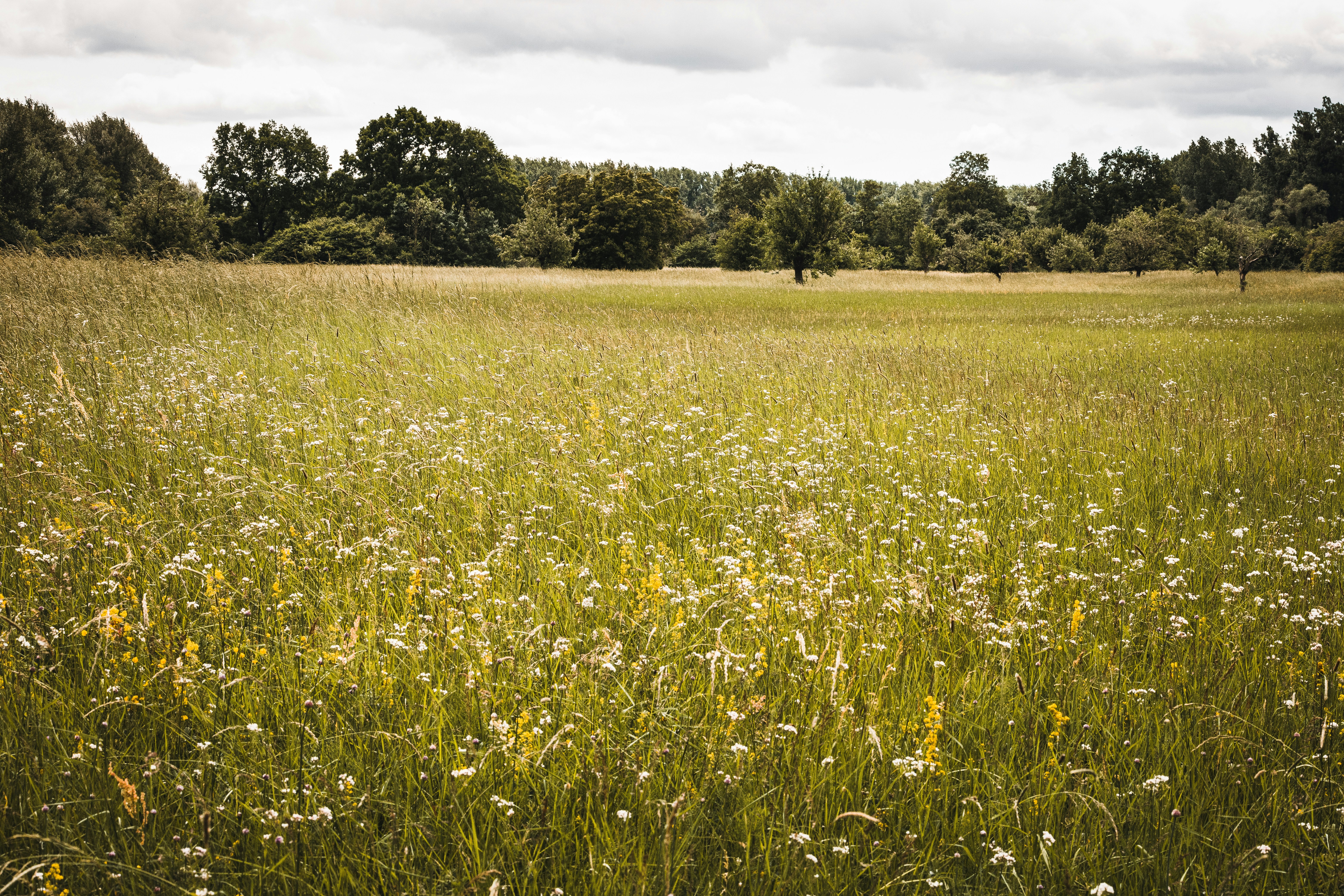 Photo by timonreinhard