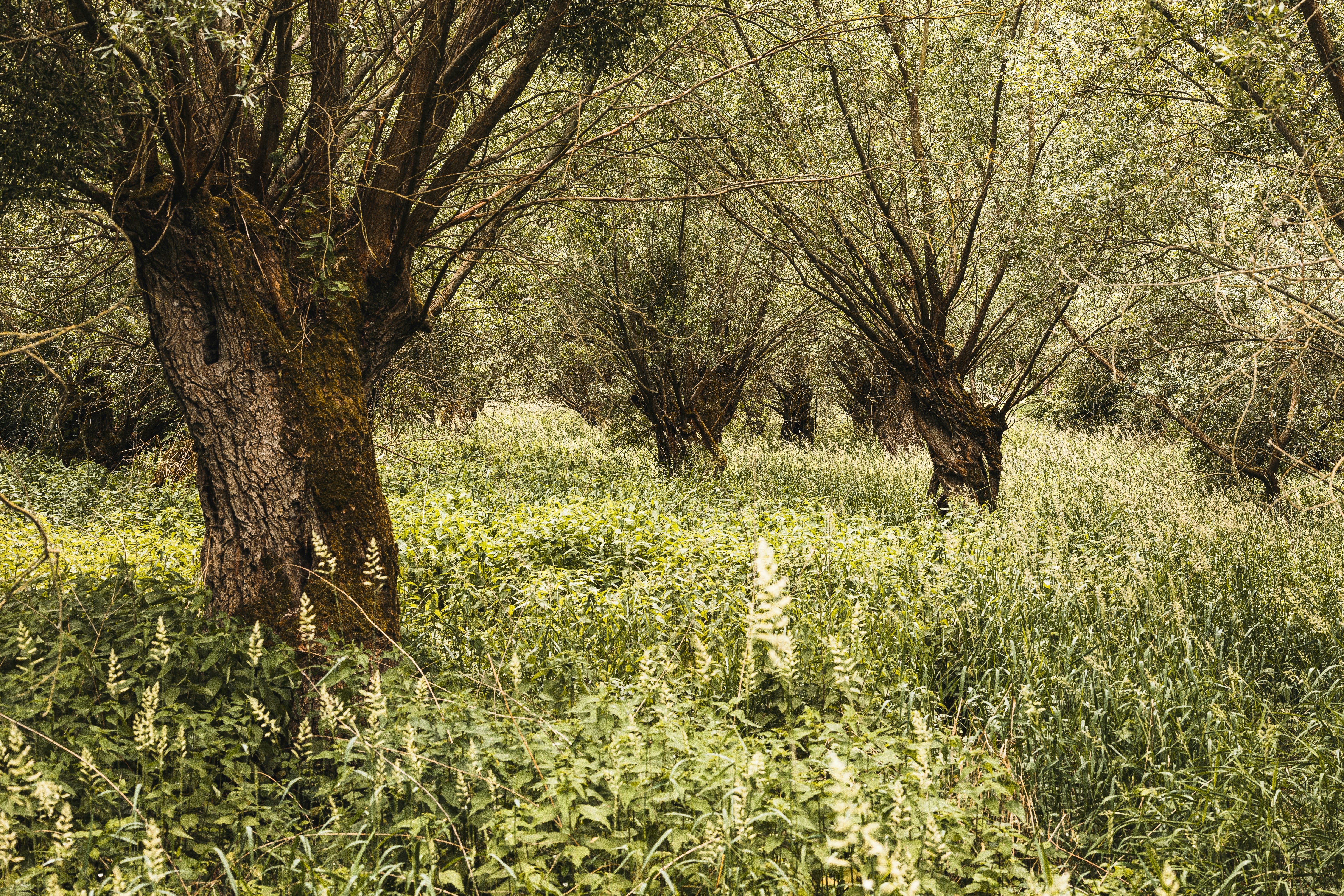 Photo by timonreinhard