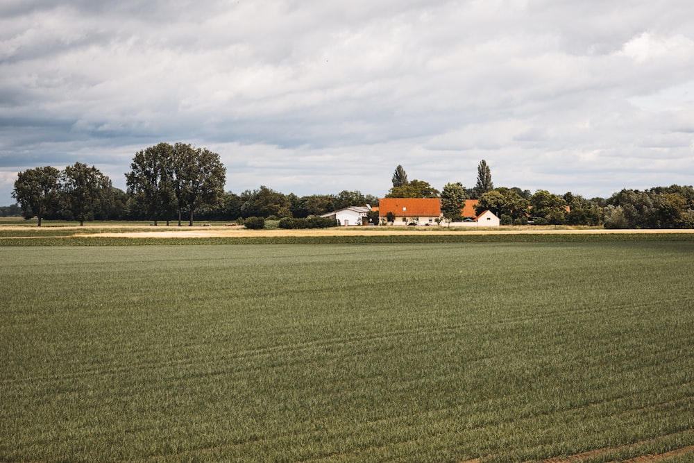 a large field with a house in the distance