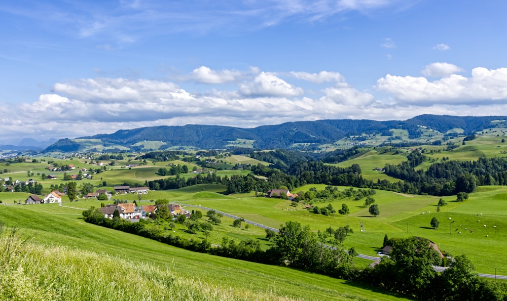 a lush green field with houses and mountains in the background