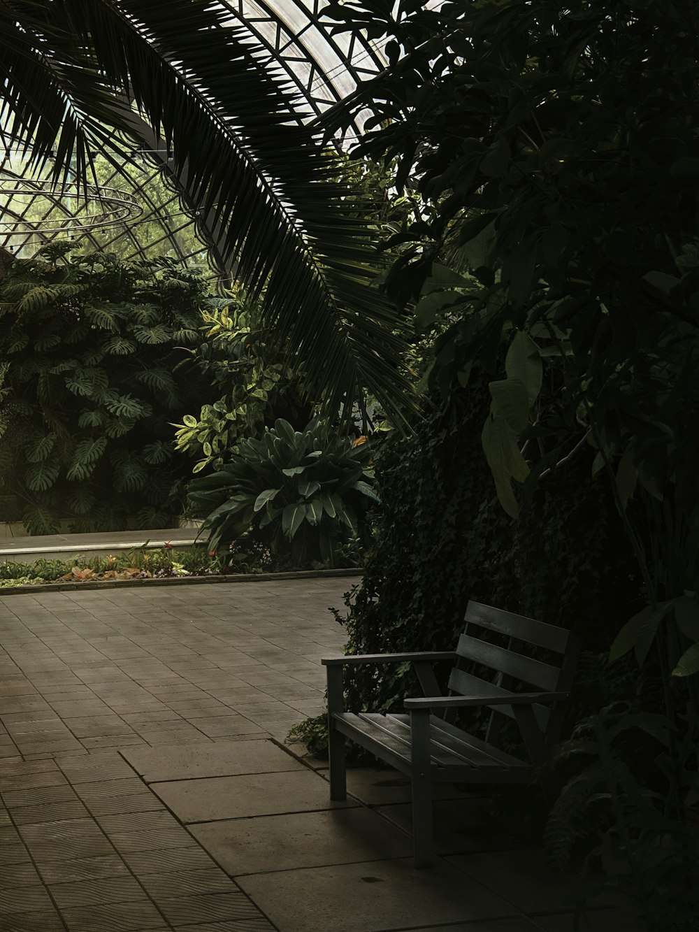 a bench next to a palm tree