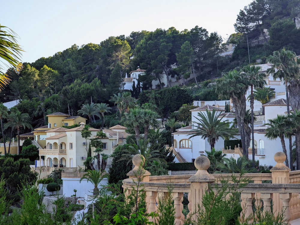 a view of a hillside with palm trees and buildings