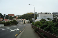 Best Walking Paths and Streets in Wellington to Explore on Foot