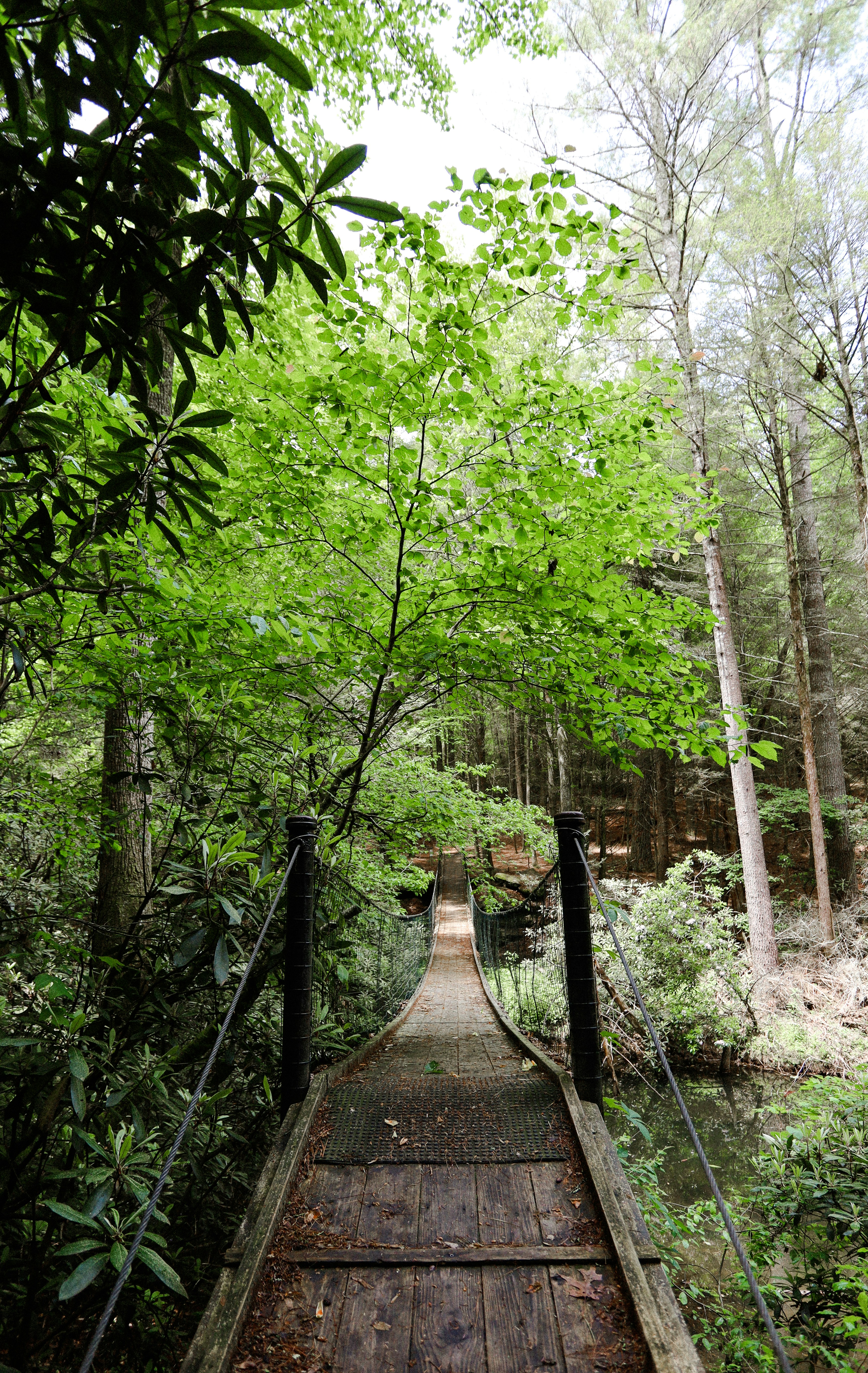 Photo by rosemarymedia