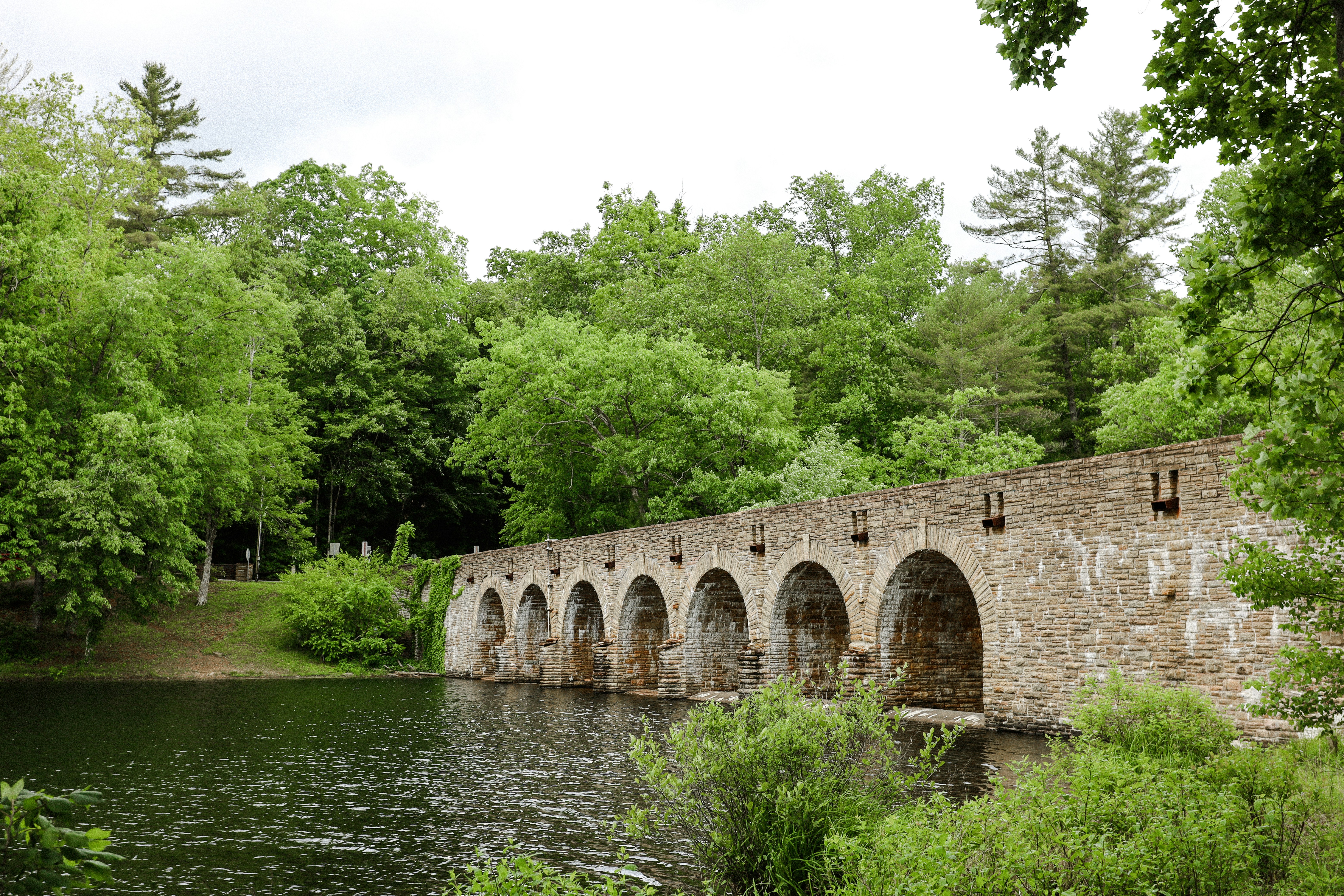 Photo by rosemarymedia