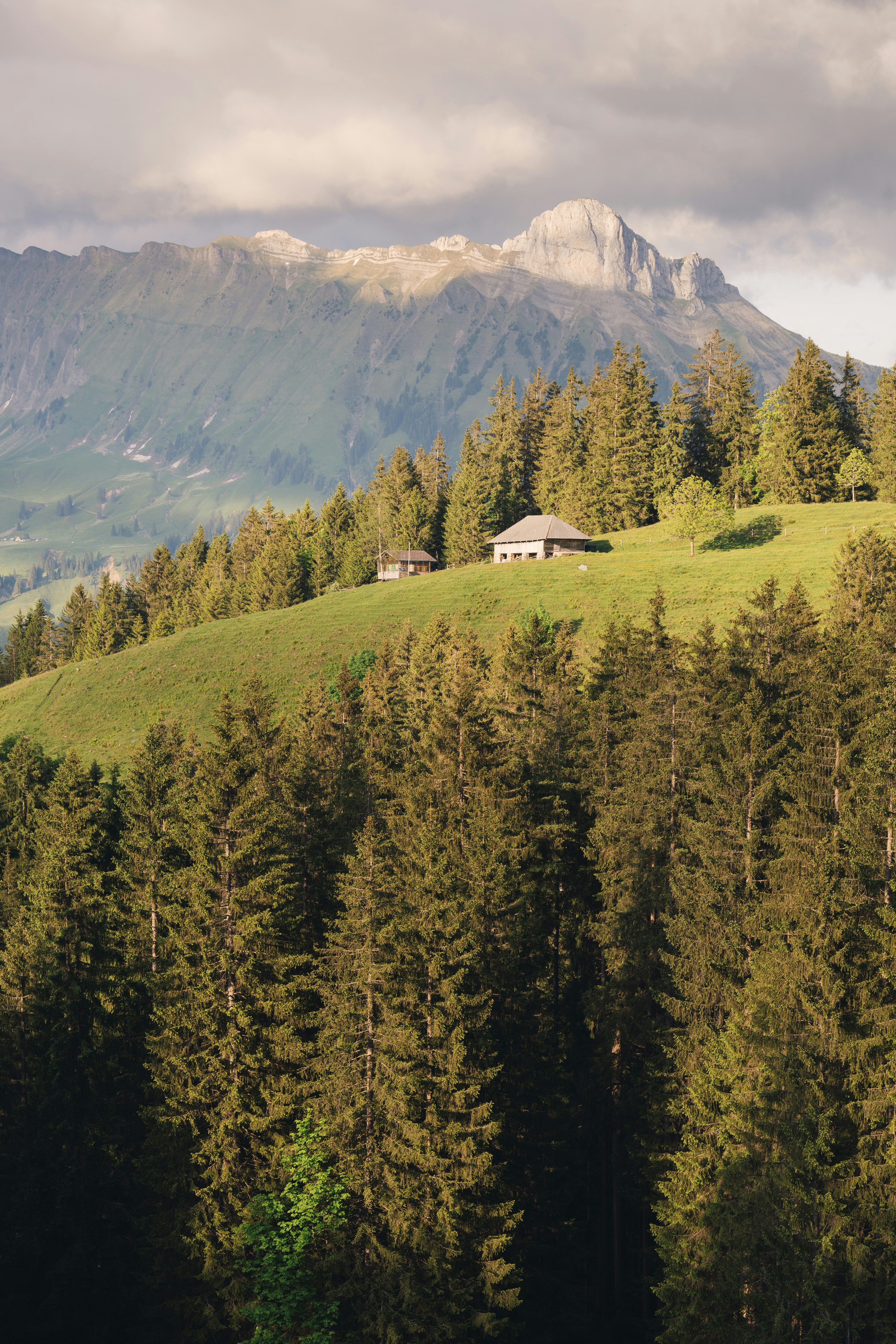 Photo by fabianbetto