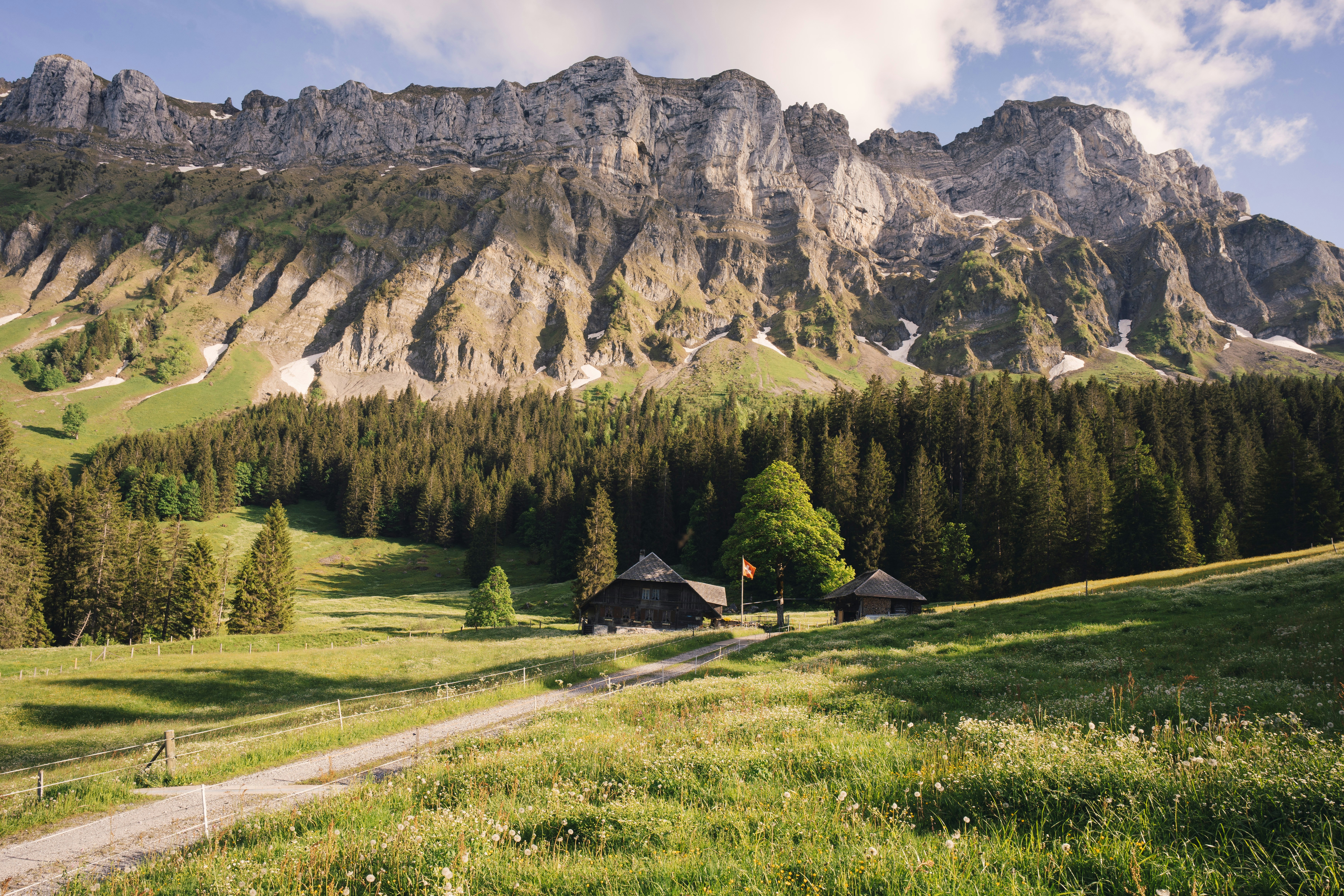 Photo by fabianbetto