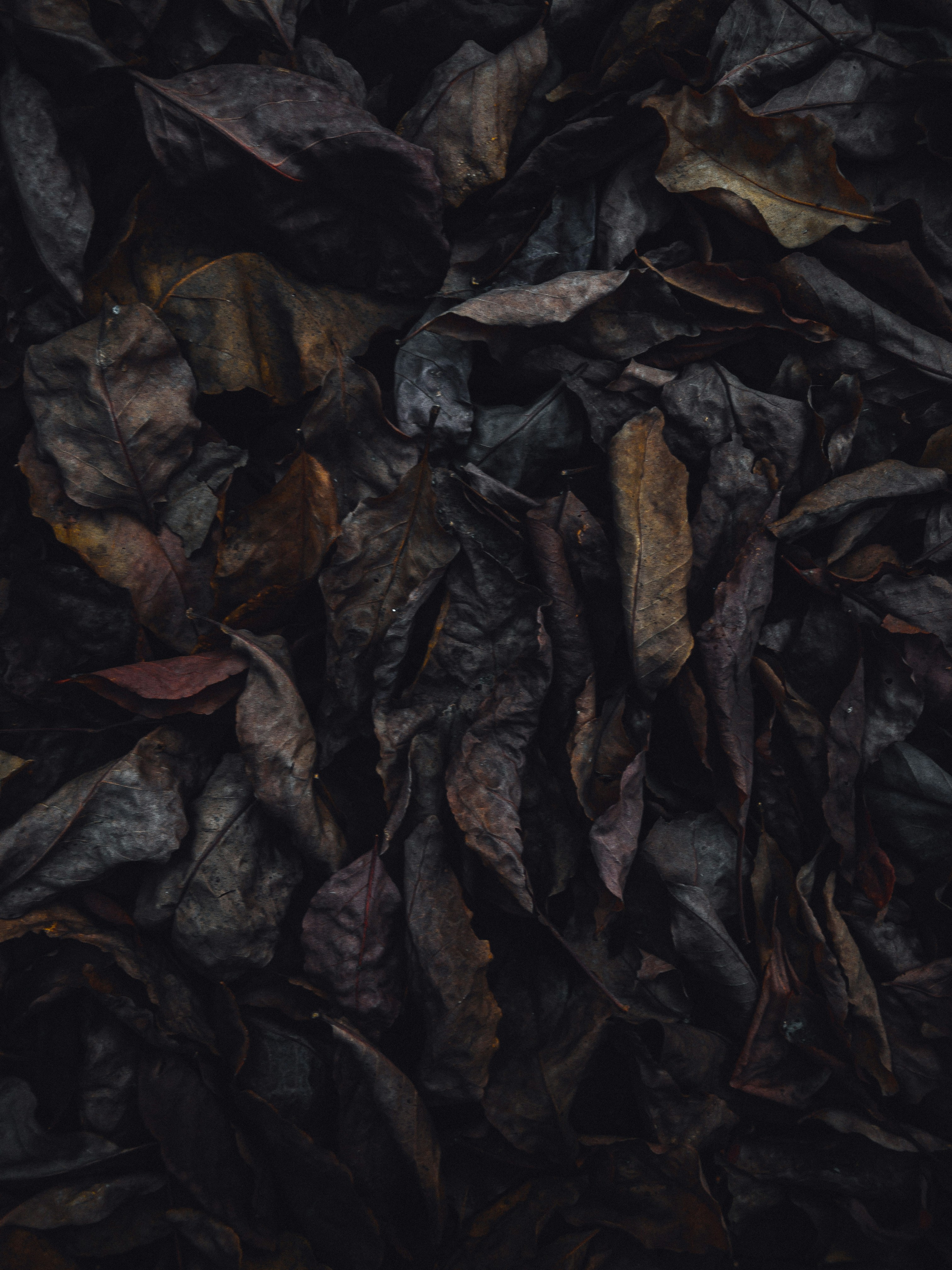 Photo by amritanshdubey