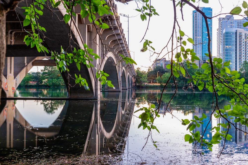 a bridge over a body of water surrounded by tall buildings