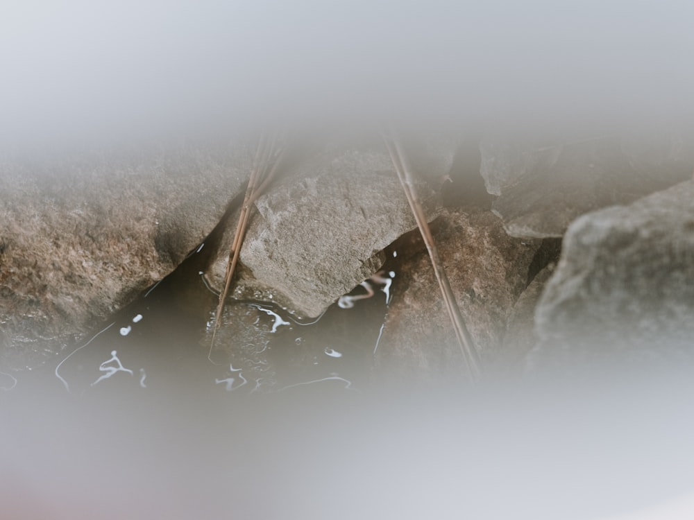 a blurry photo of rocks and grass