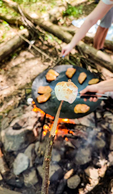 A close-up of a campfire cooking setup with marshmallows roasting on sticks.