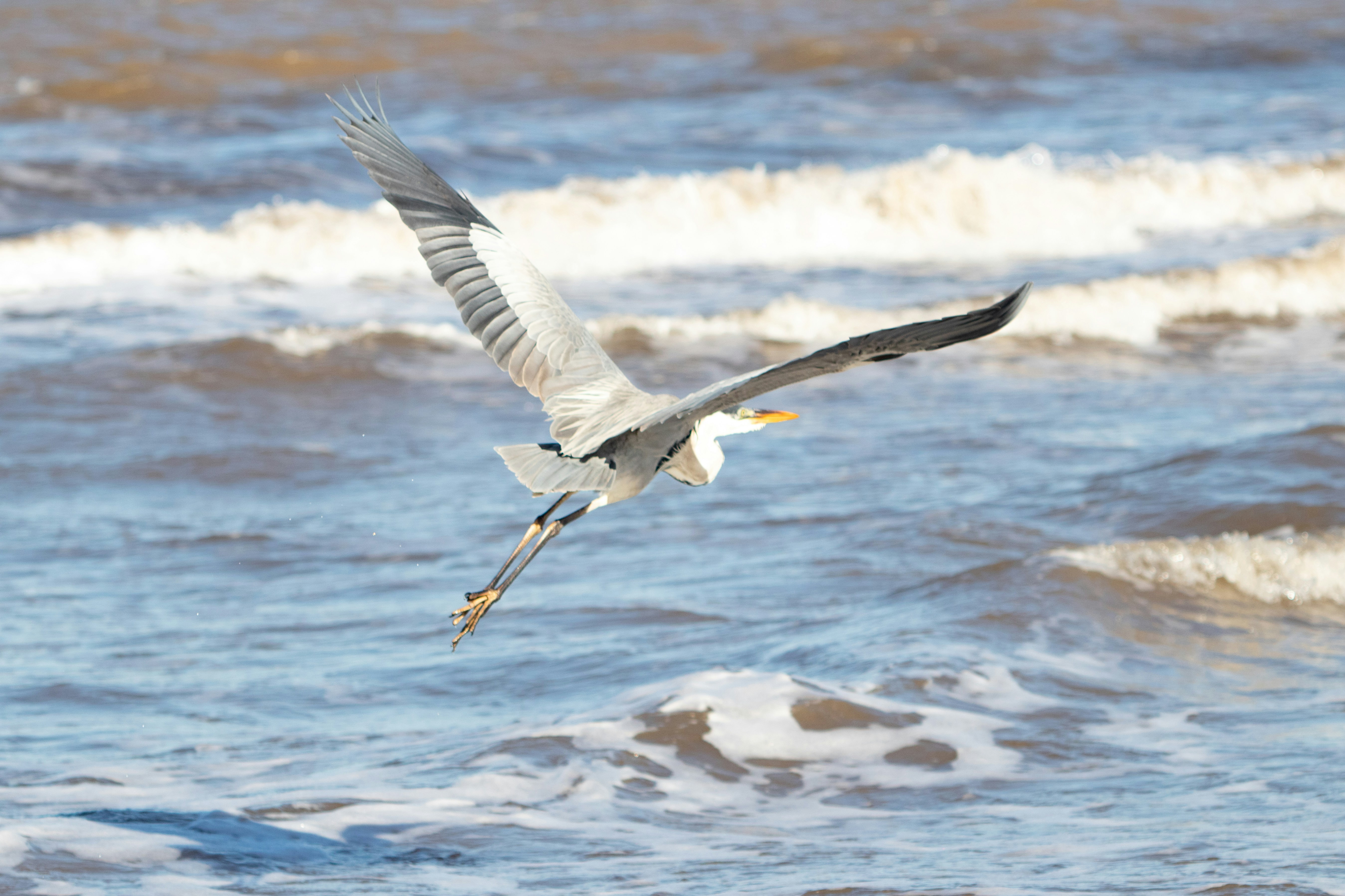 Photo by sonianadales