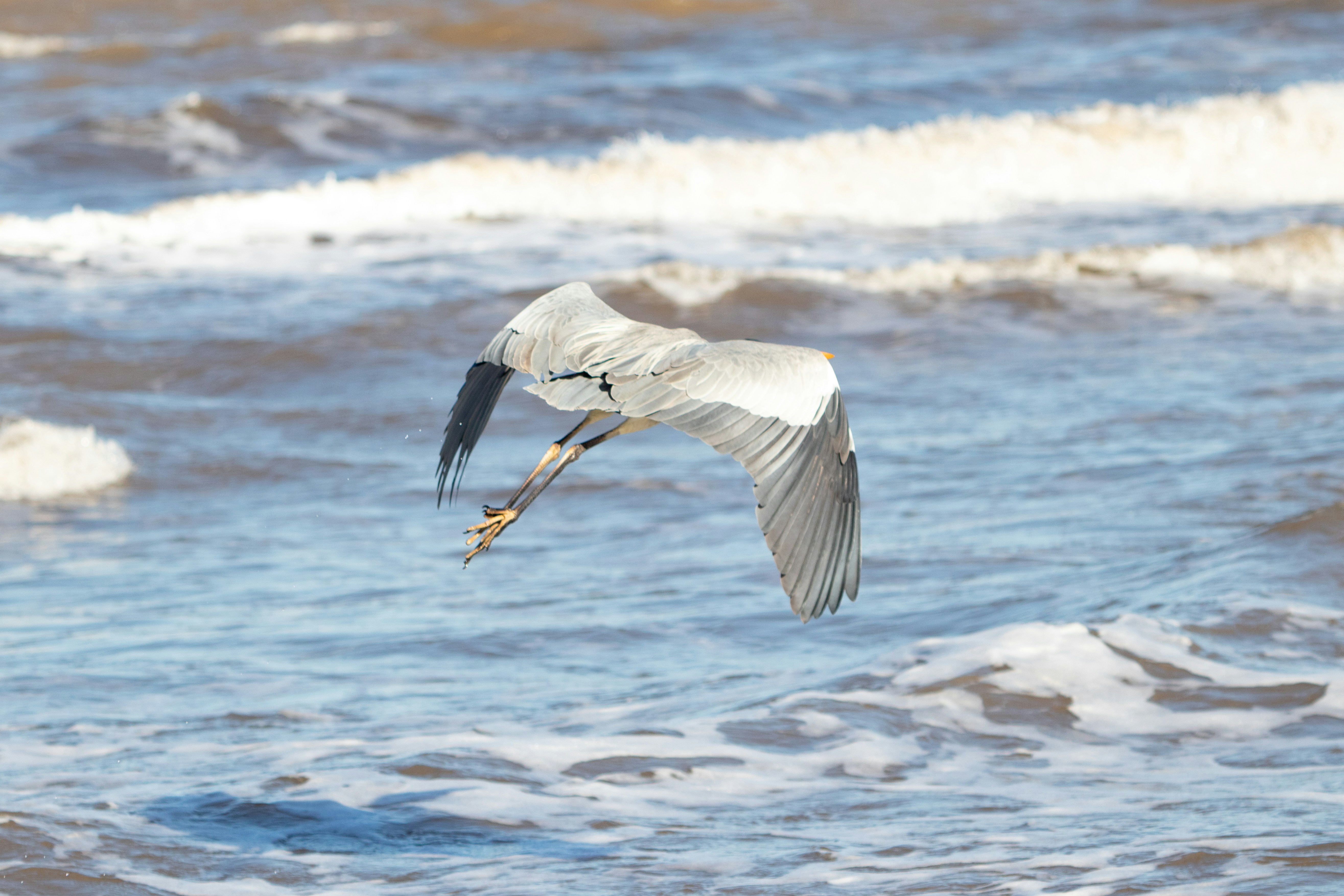 Photo by sonianadales