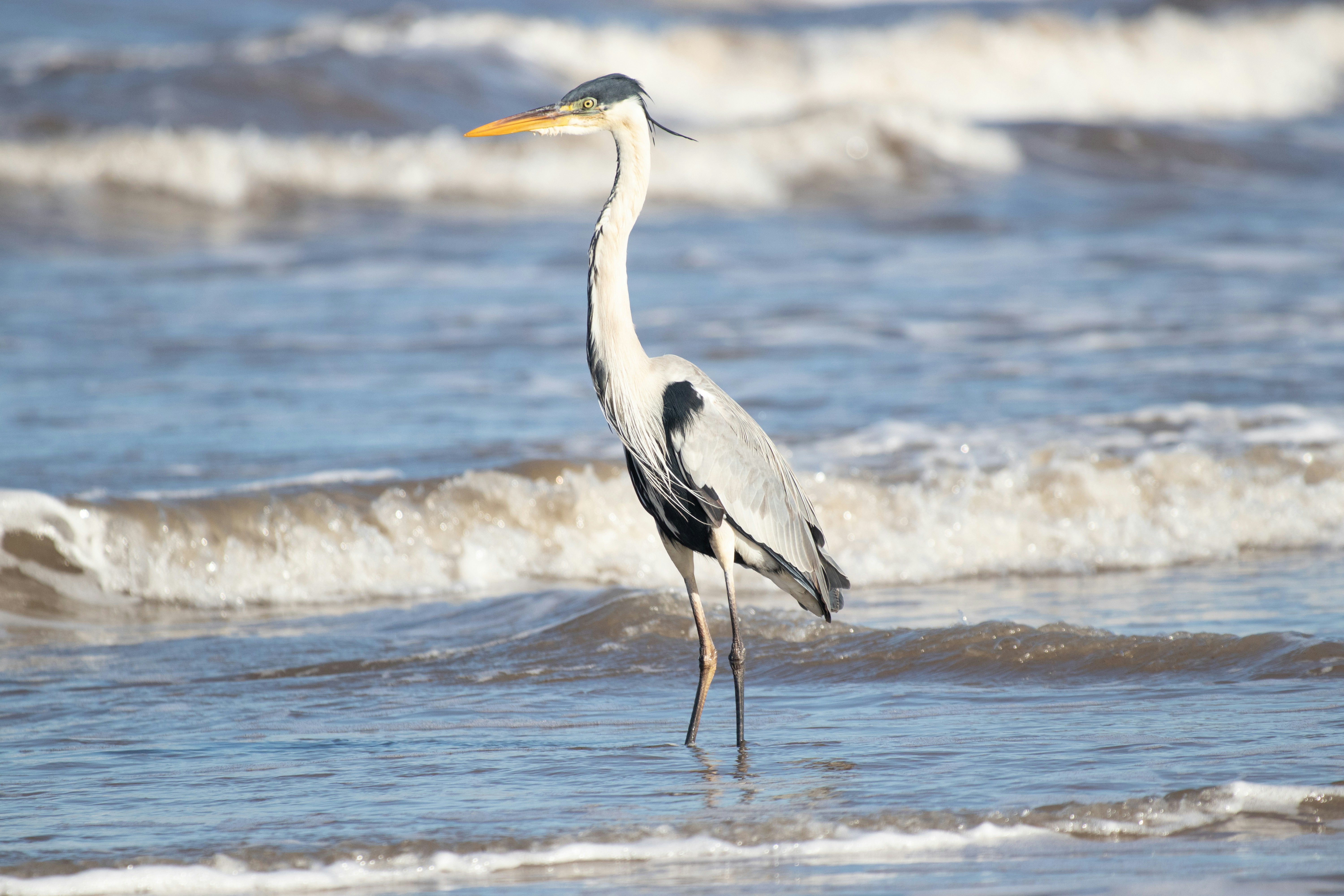 Photo by sonianadales