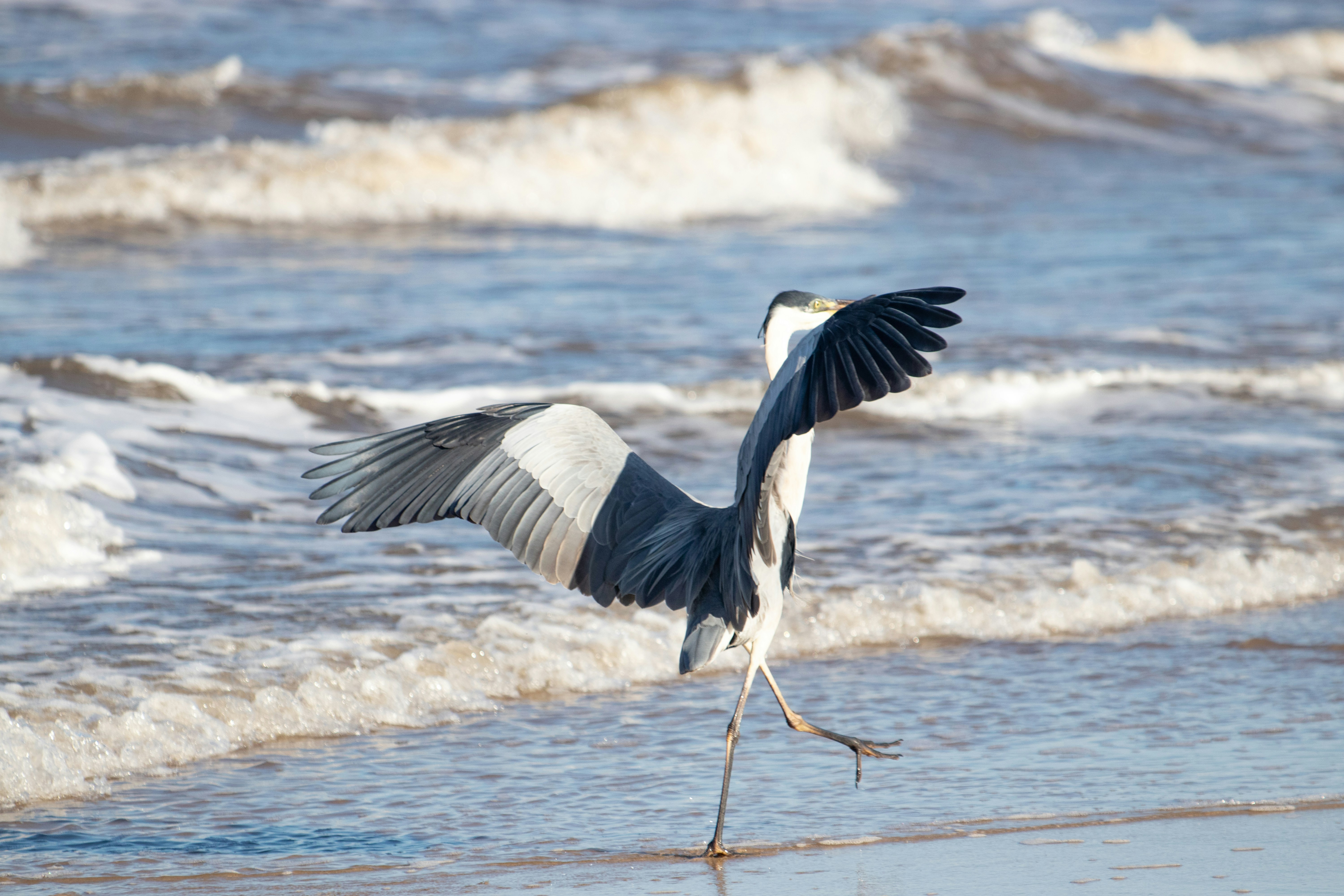 Photo by sonianadales