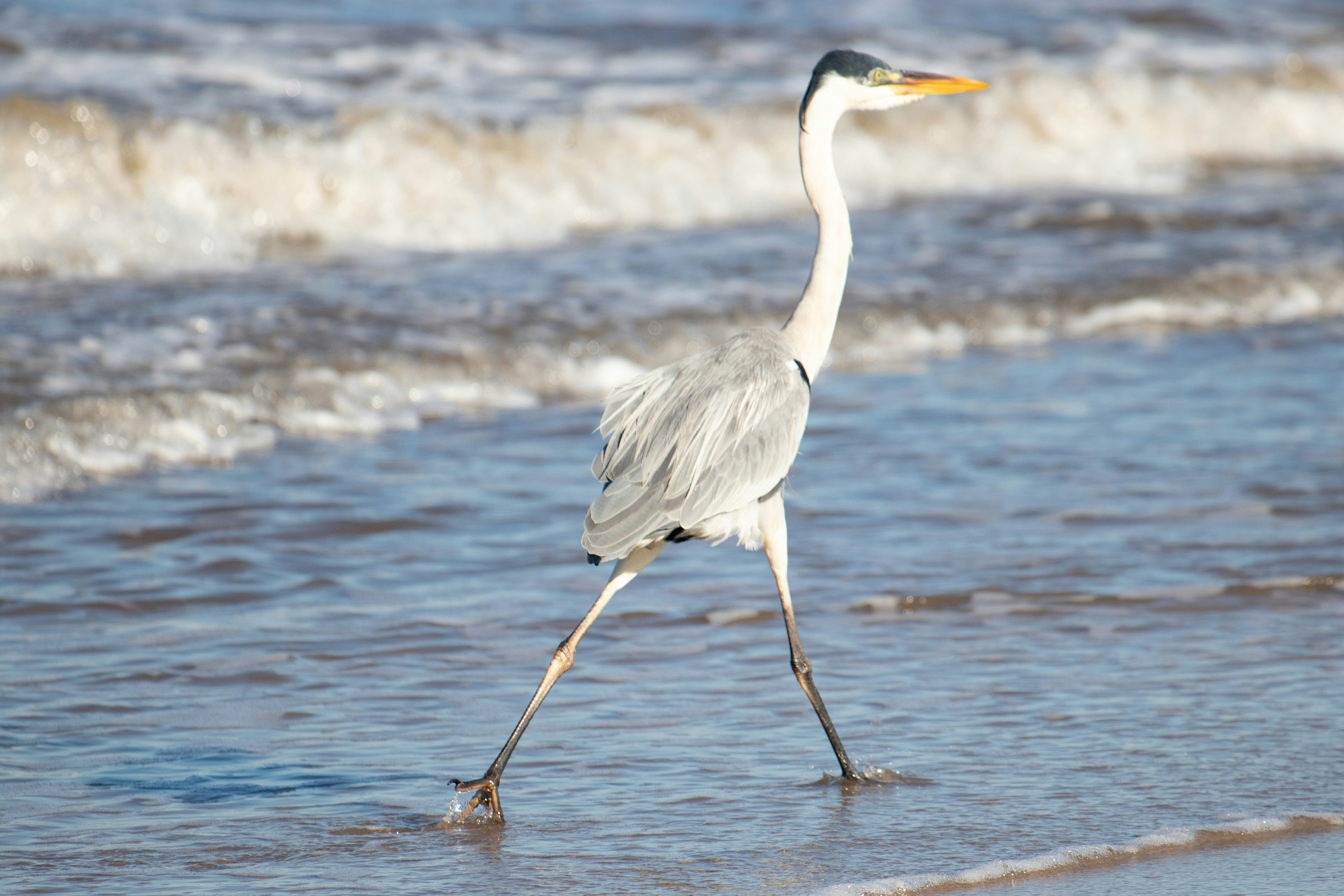 Photo by sonianadales