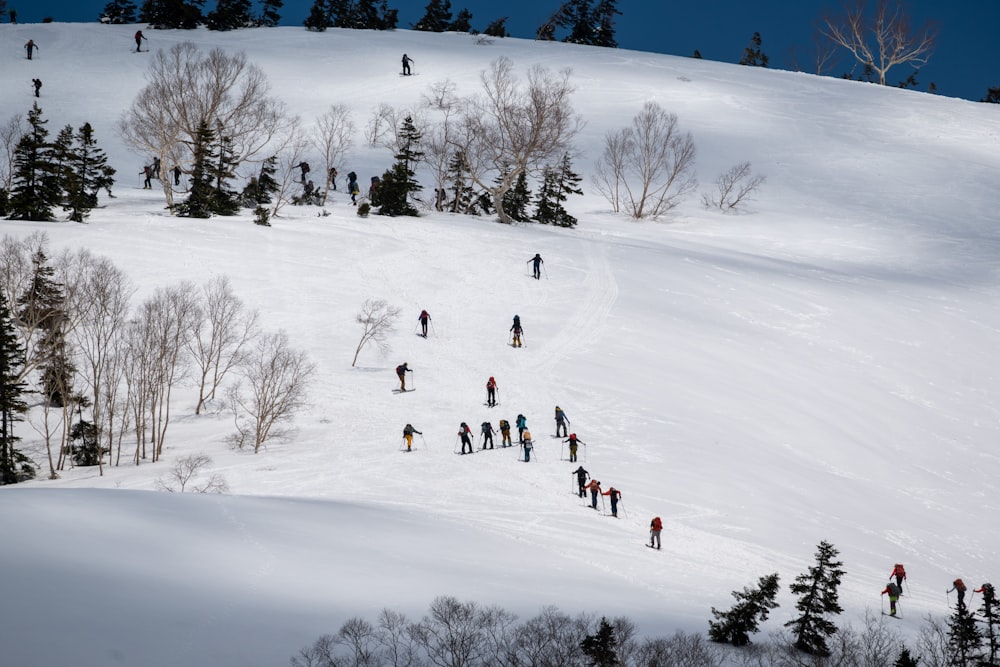 a group of people riding skis down a snow covered slope