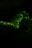 a close up of a green tree branch