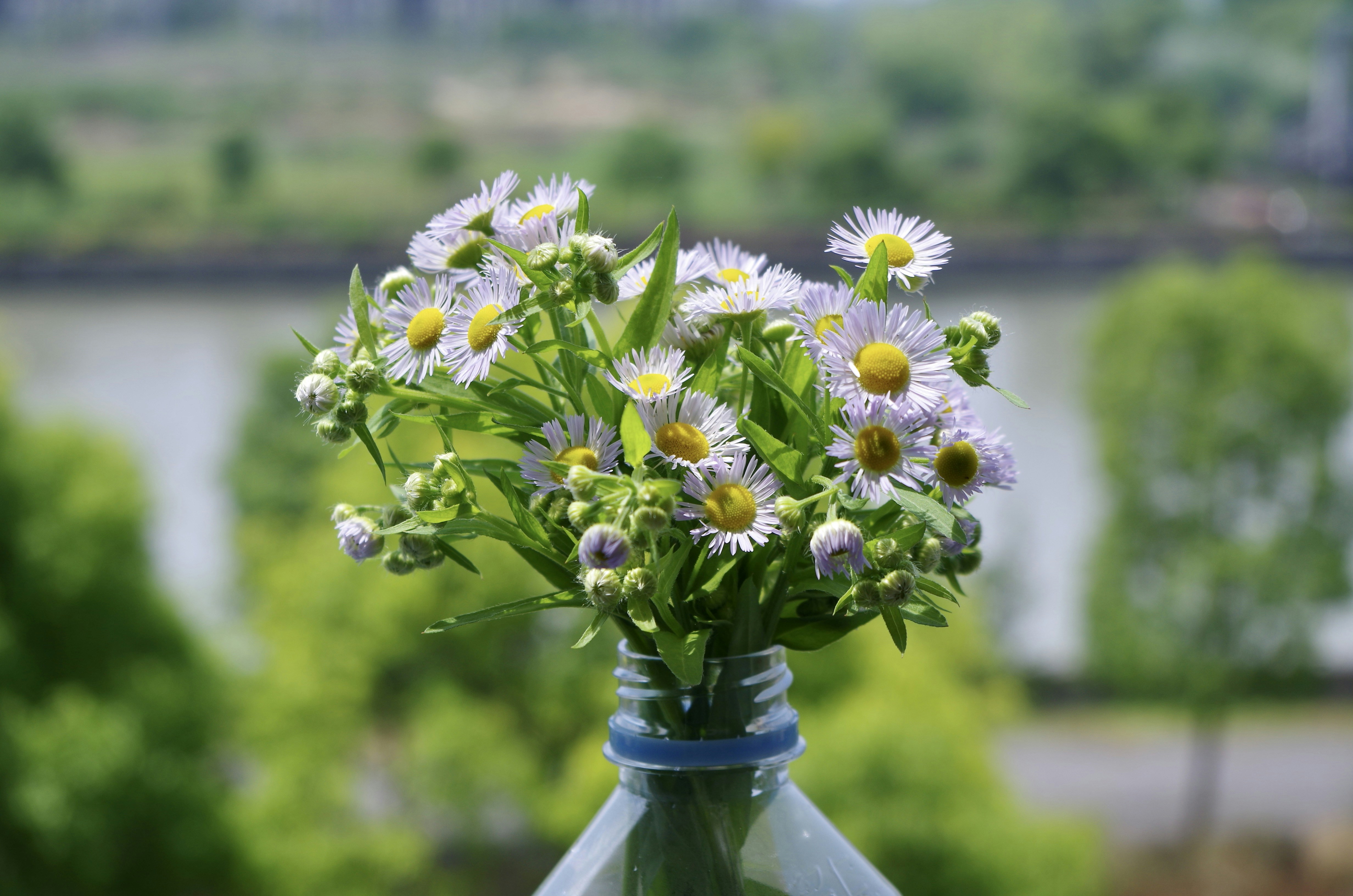 Photo by zhaoming007