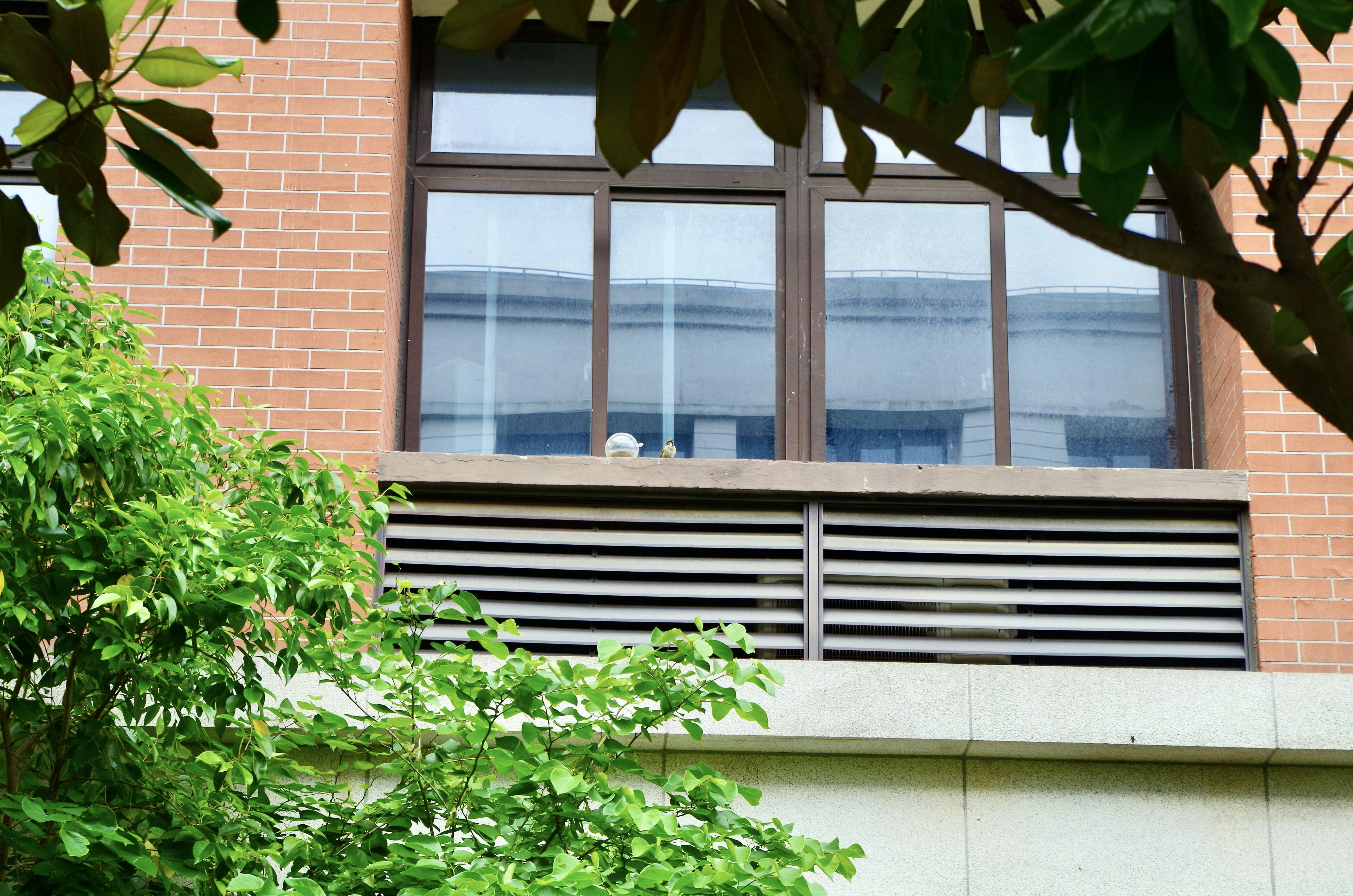 Photo by zhaoming007