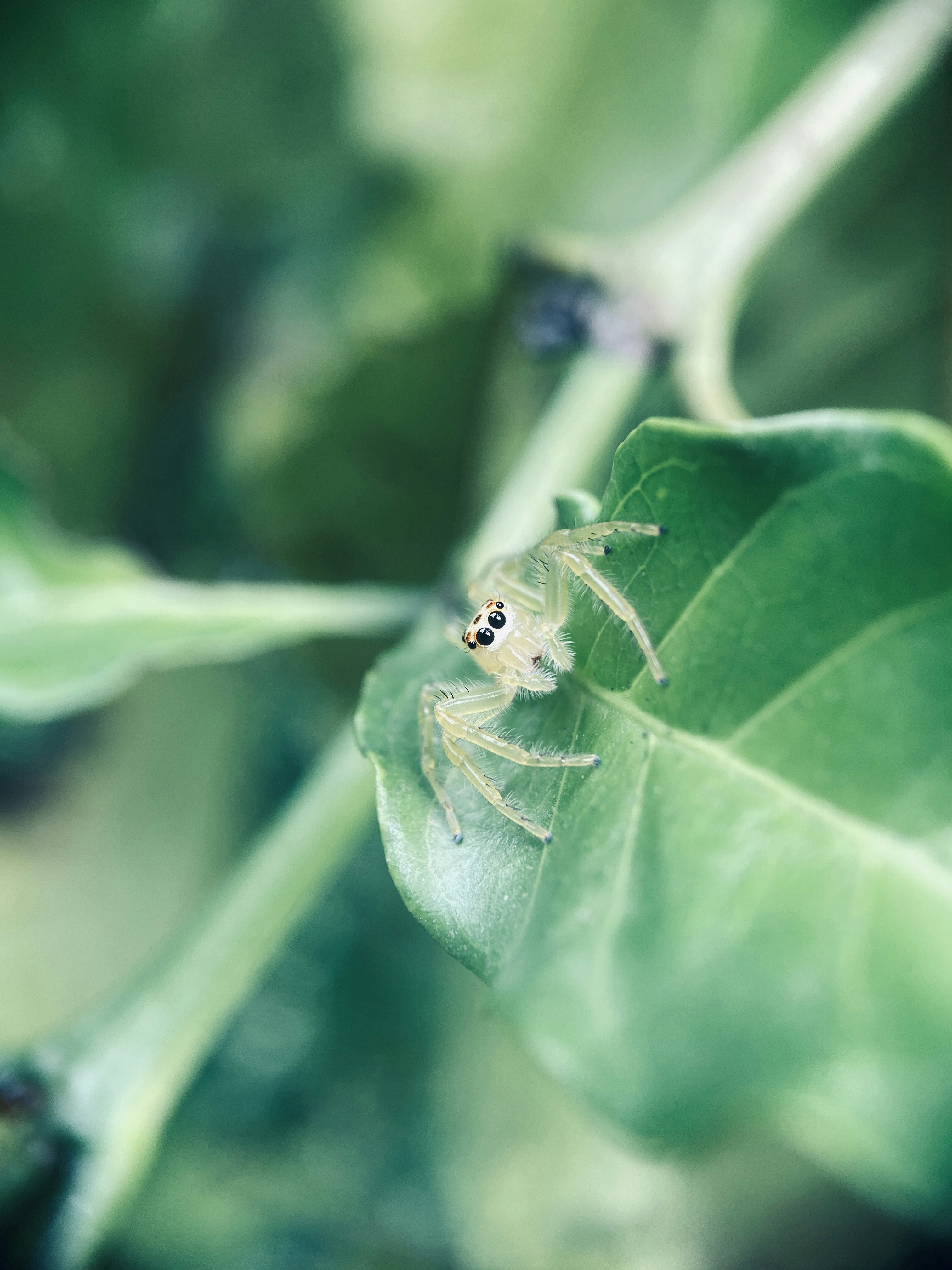 Photo by musing_photography