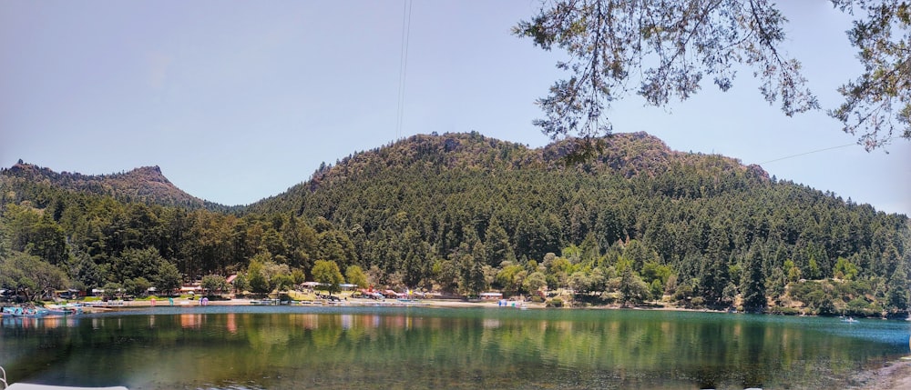 a body of water surrounded by mountains and trees