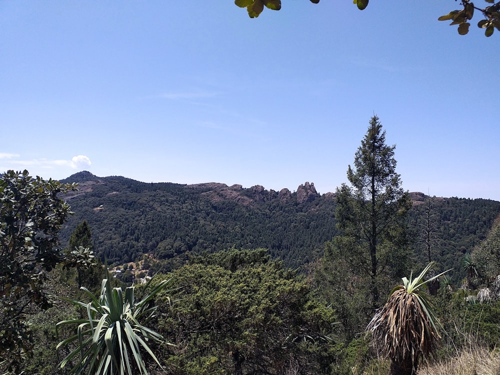 una vista di una catena montuosa da lontano