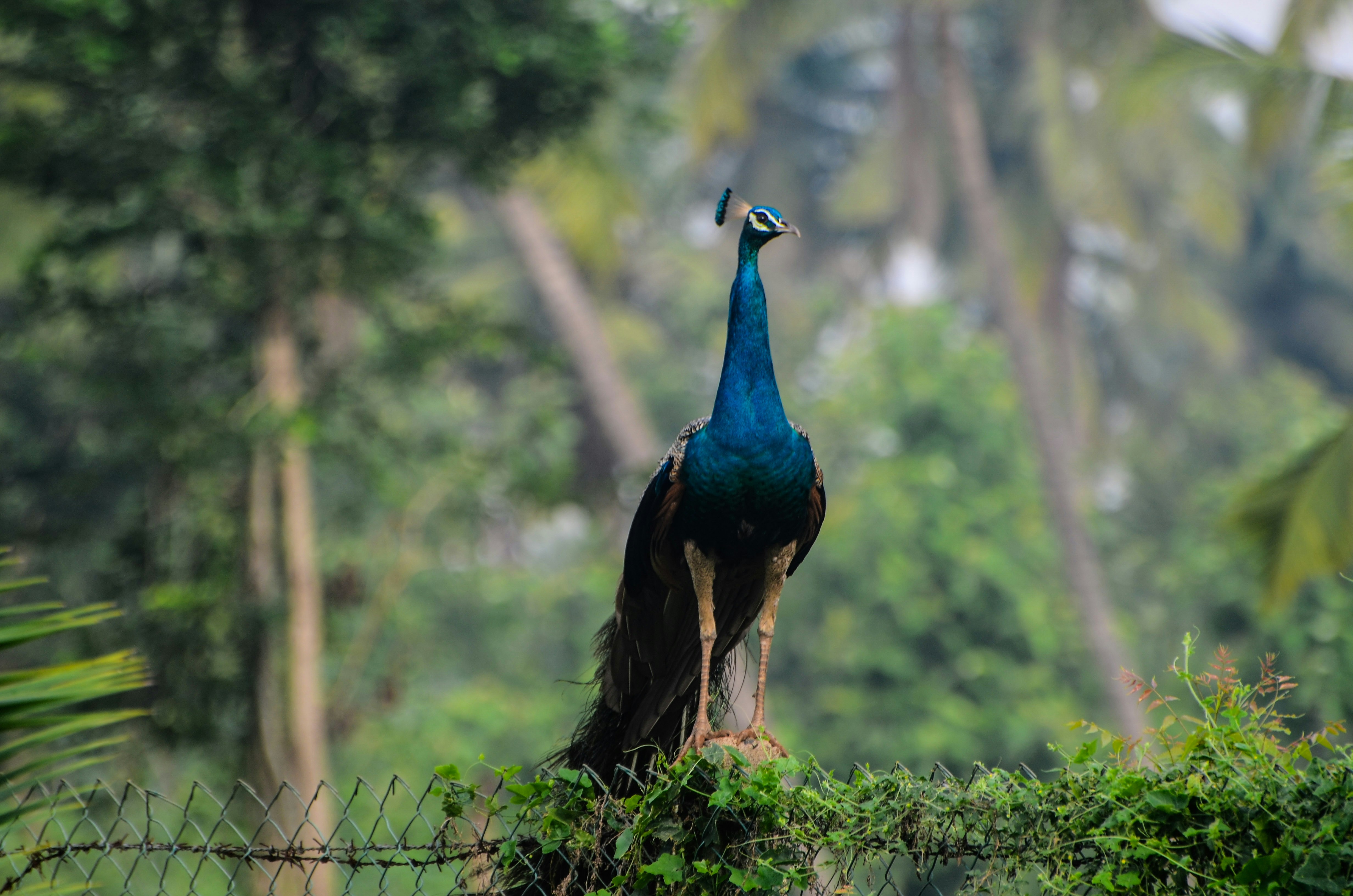 Photo by ramkumar810