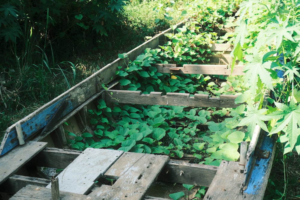 a wooden box filled with lots of green plants