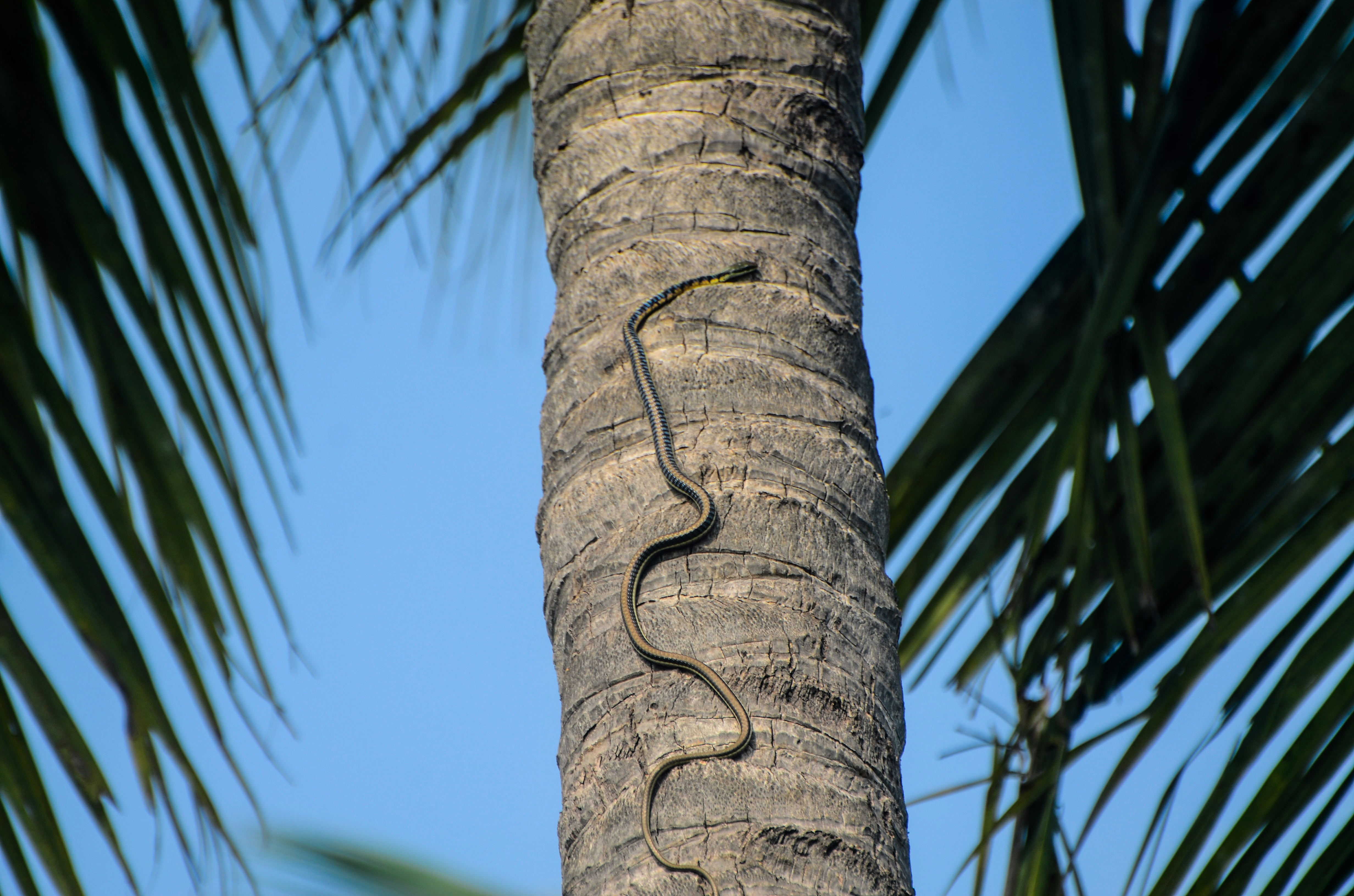 Photo by ramkumar810