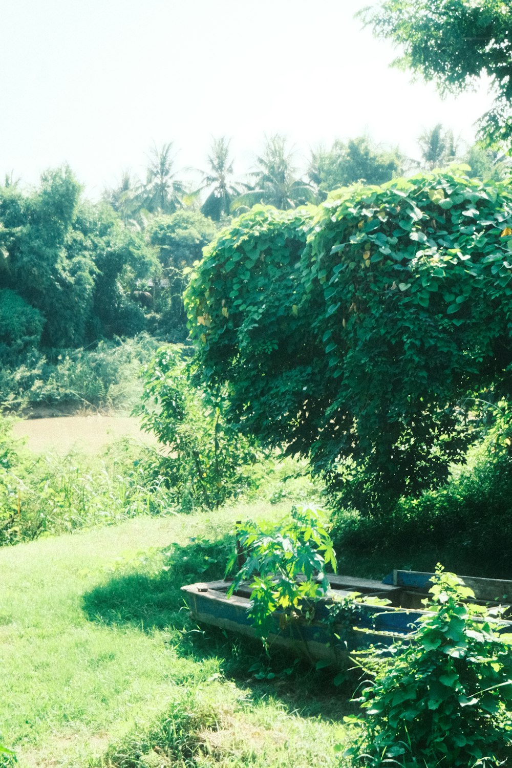 a wooden boat sitting in the middle of a lush green field
