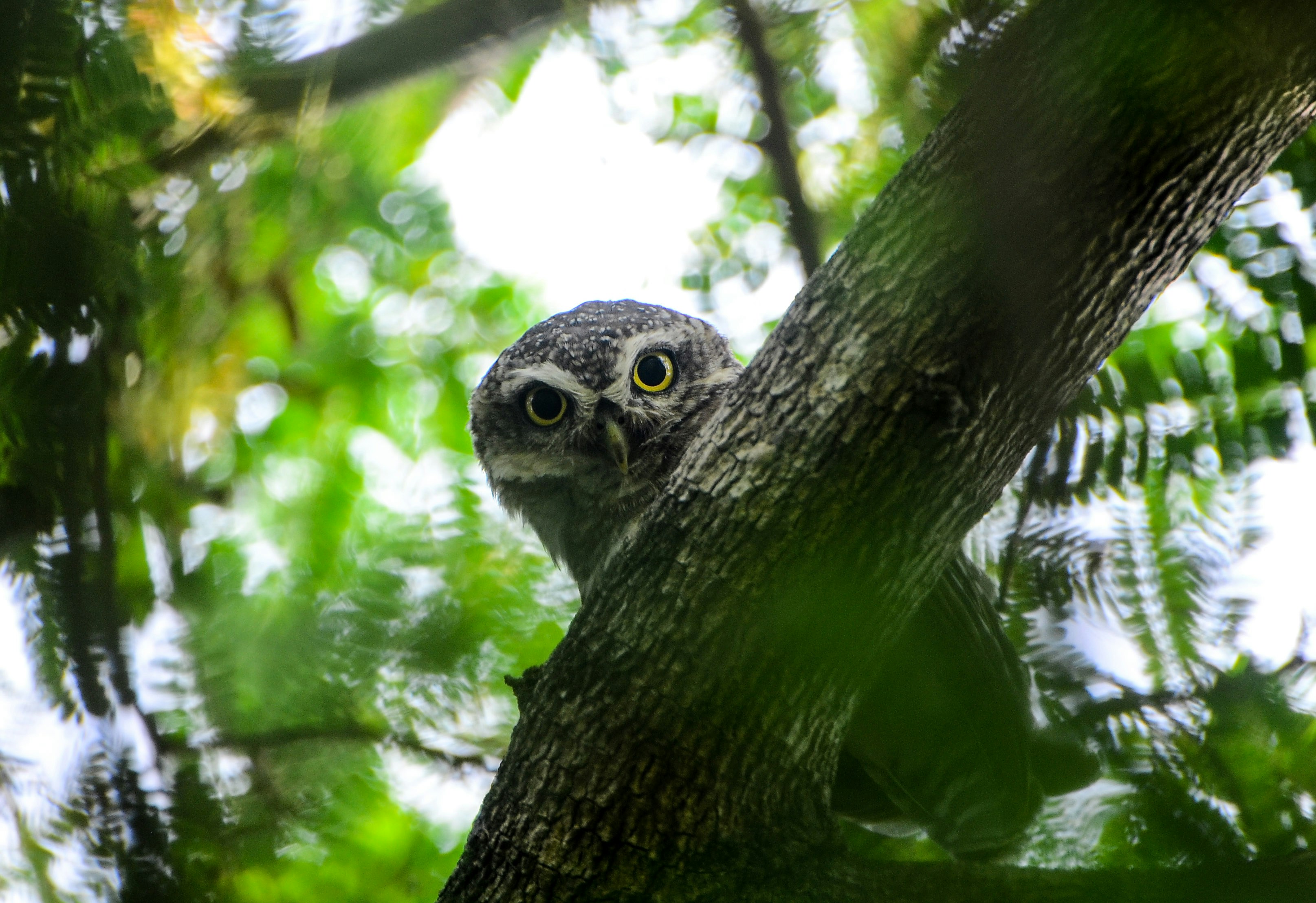 Photo by ramkumar810