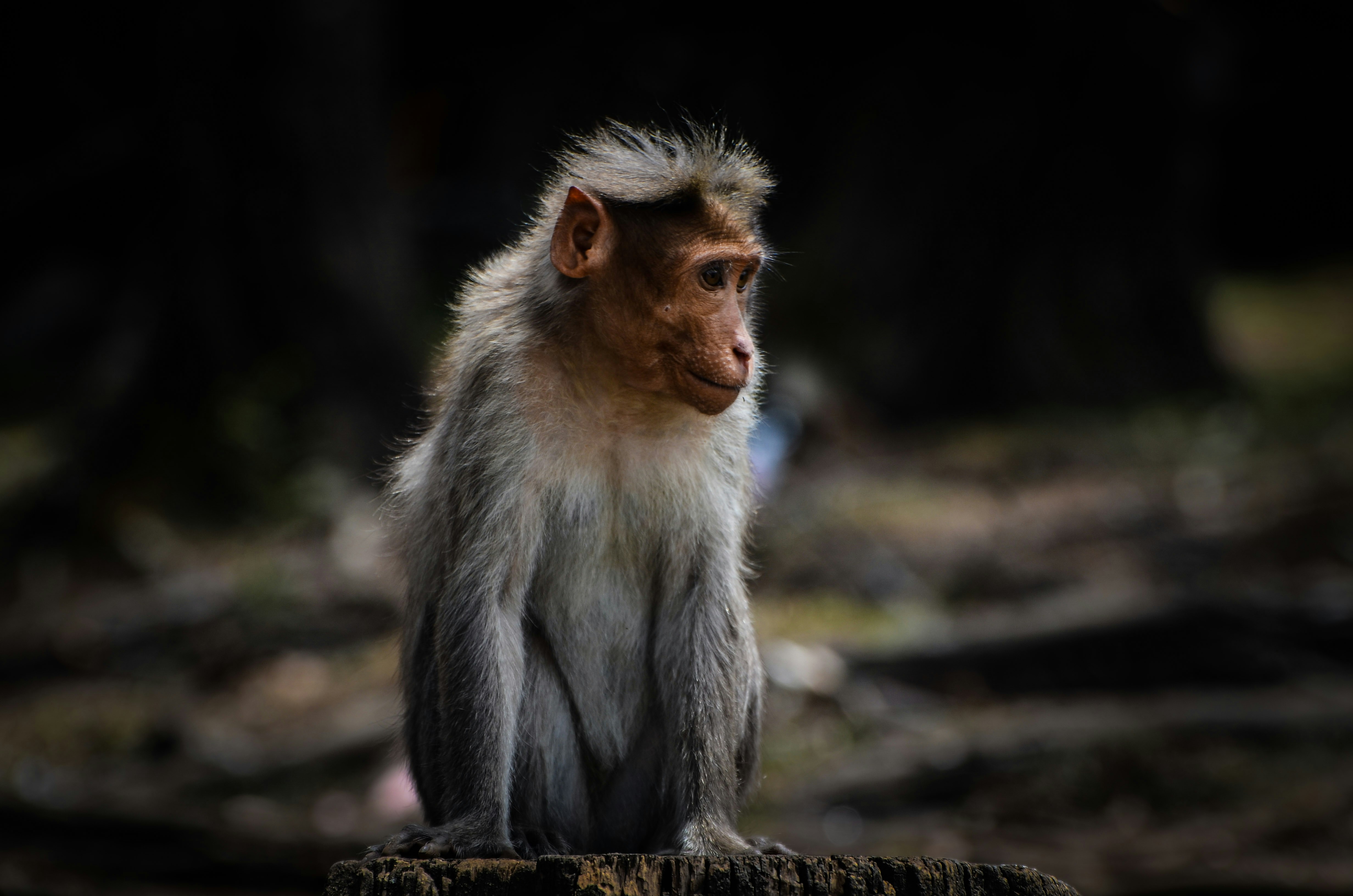 Photo by ramkumar810