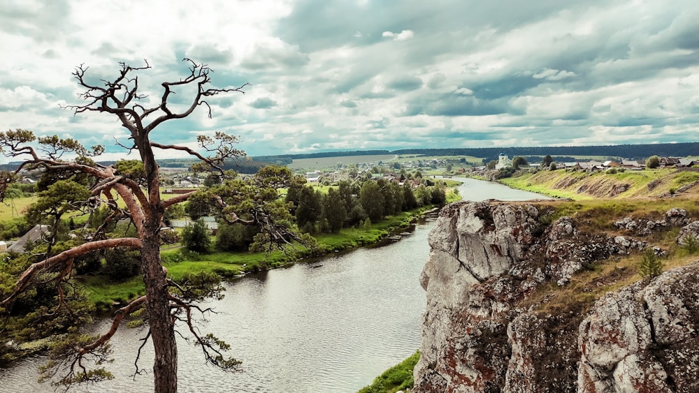 a river running through a lush green valley