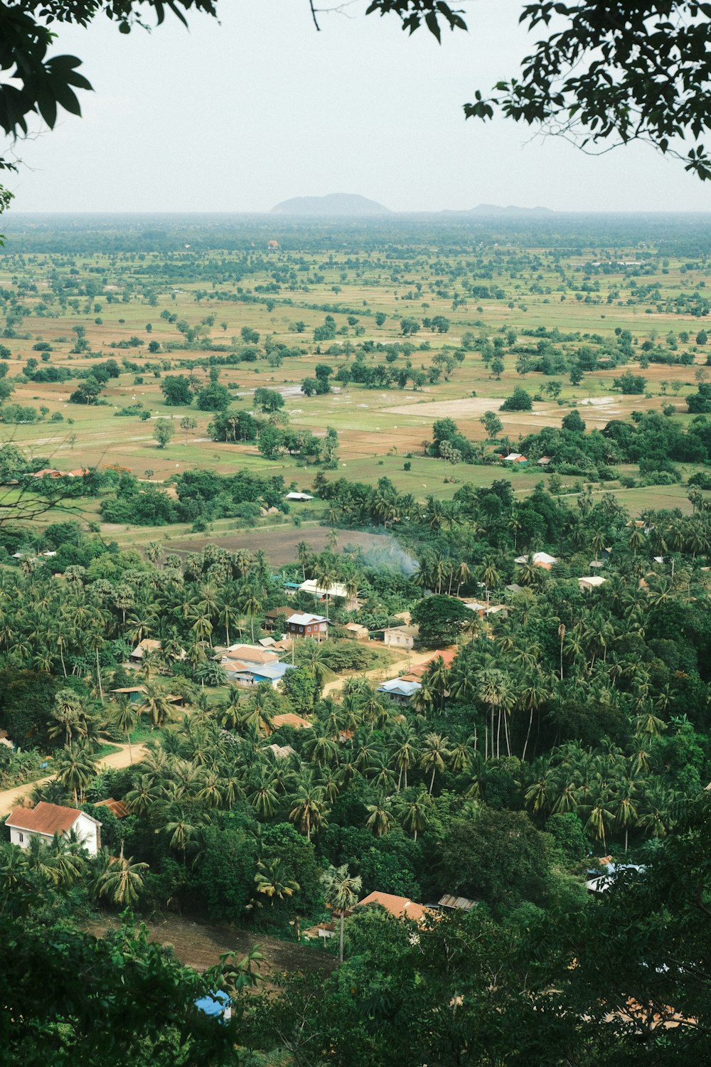 a view of a small village in the middle of a jungle