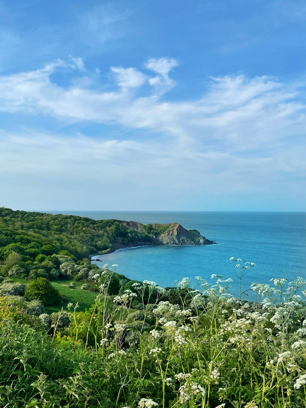 a view of a body of water from a hill