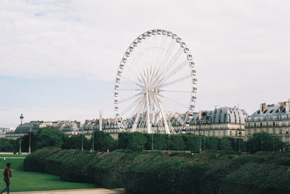 a large ferris wheel sitting next to a lush green park