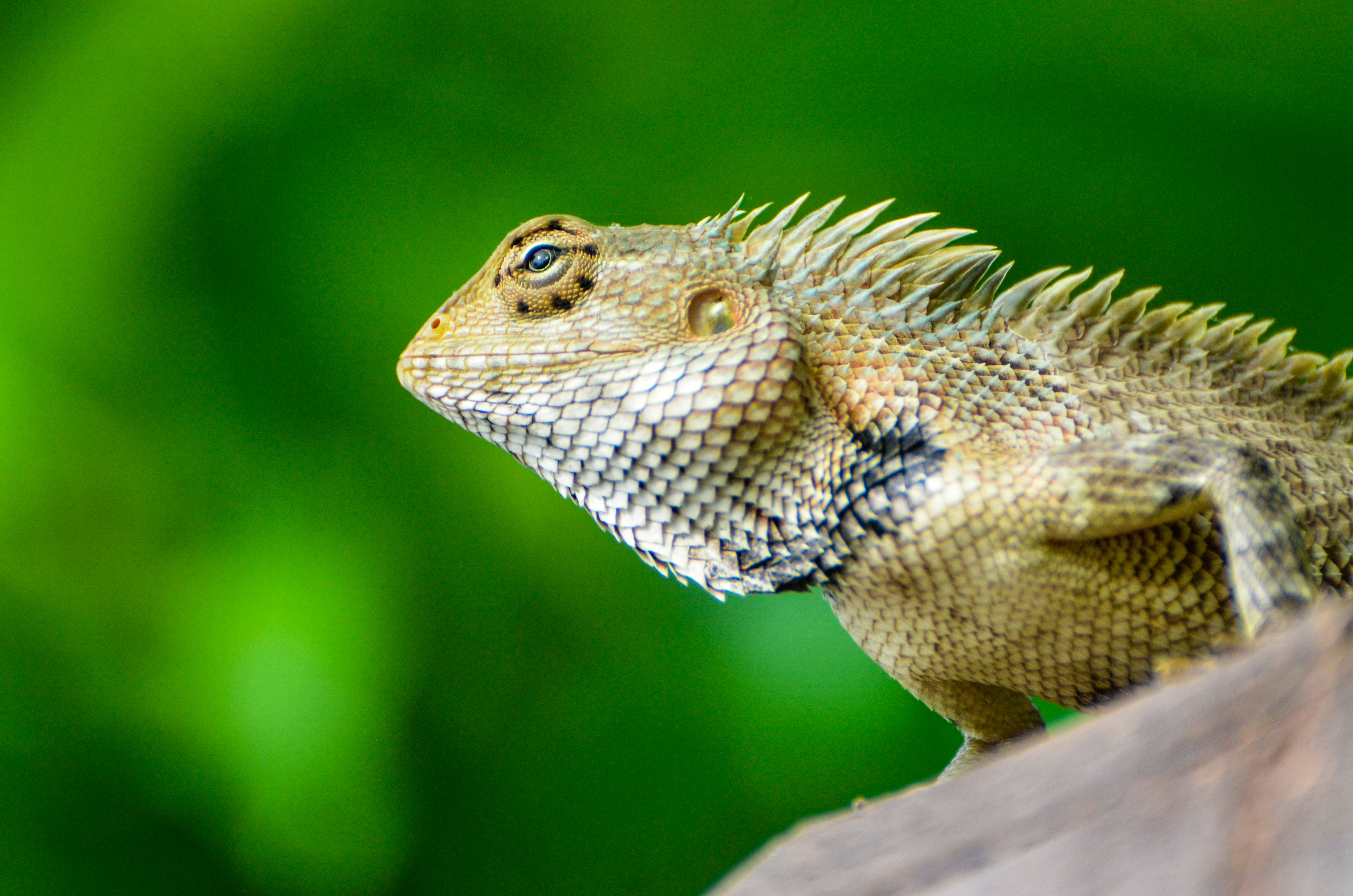 Photo by ramkumar810