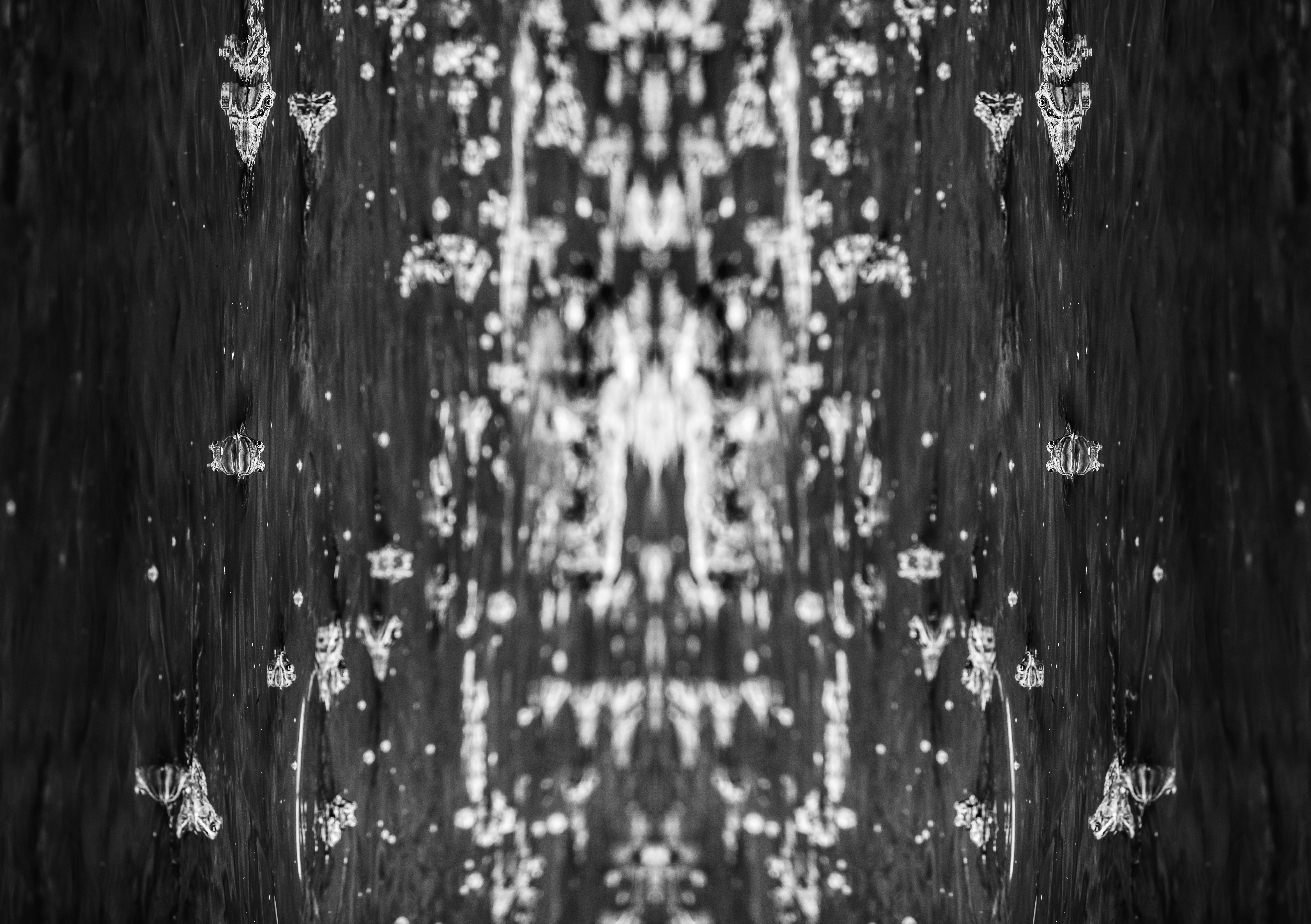 Photo by marekpiwnicki