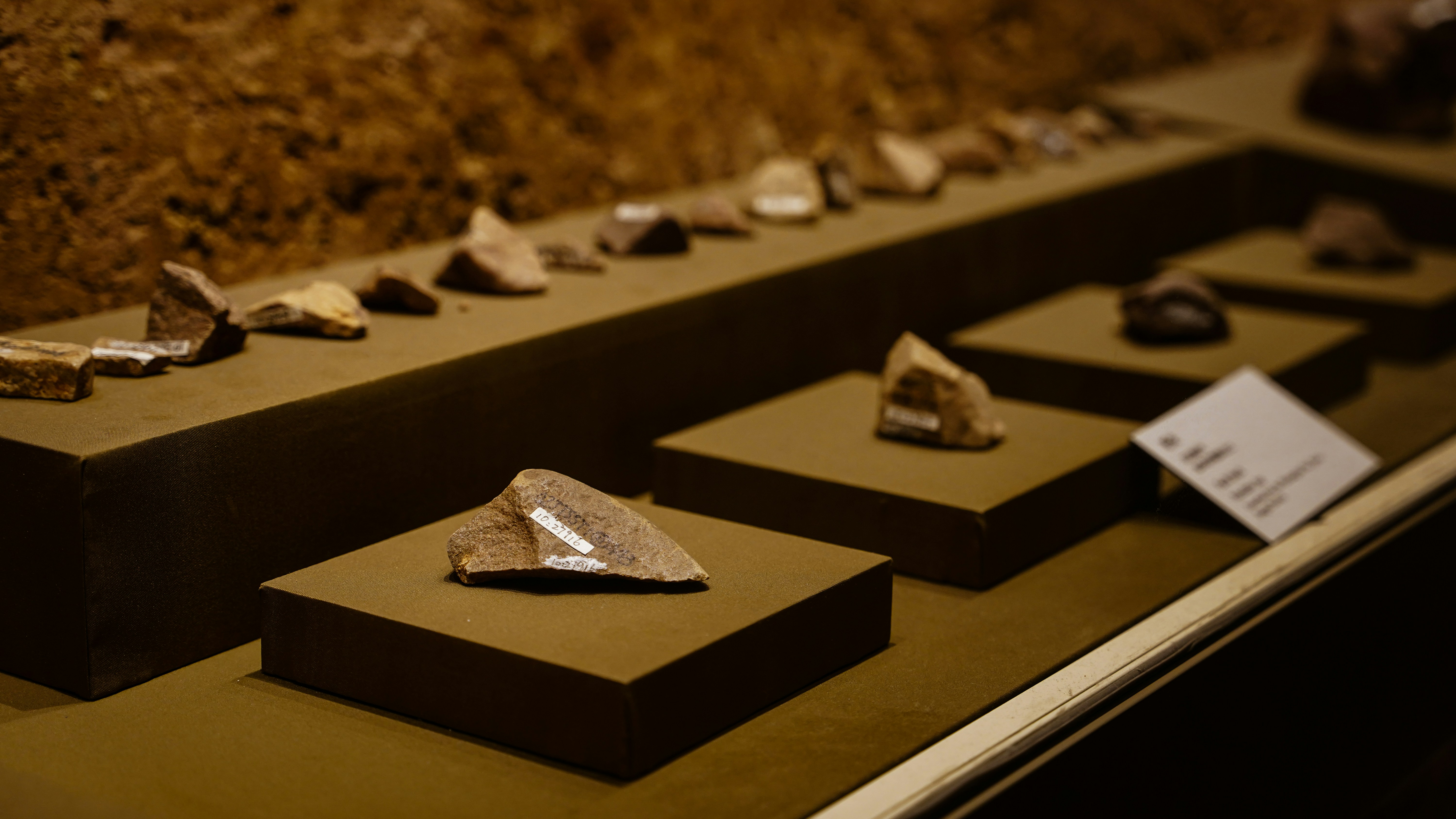 a display case filled with different types of rocks