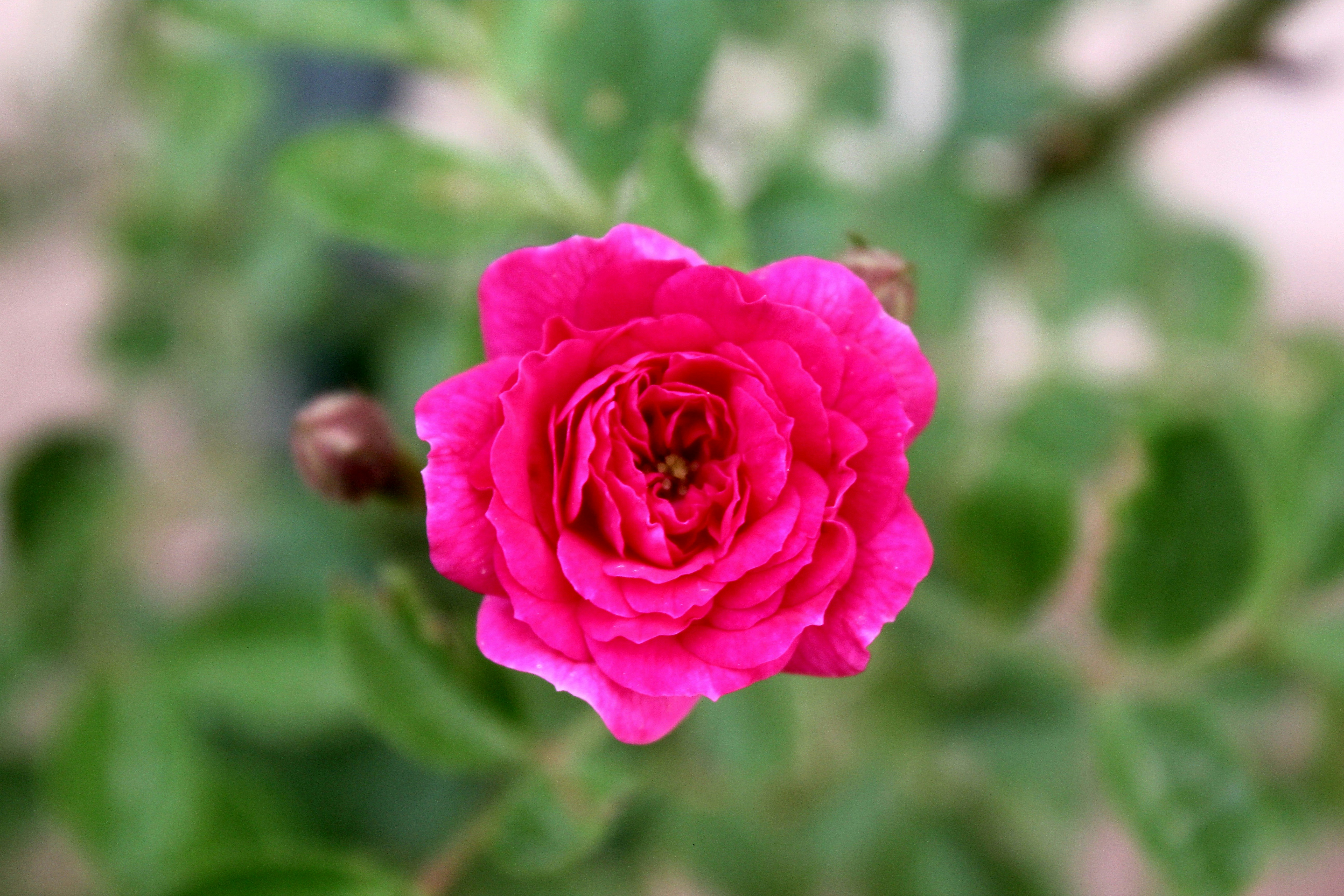 Photo by manavimoghadam