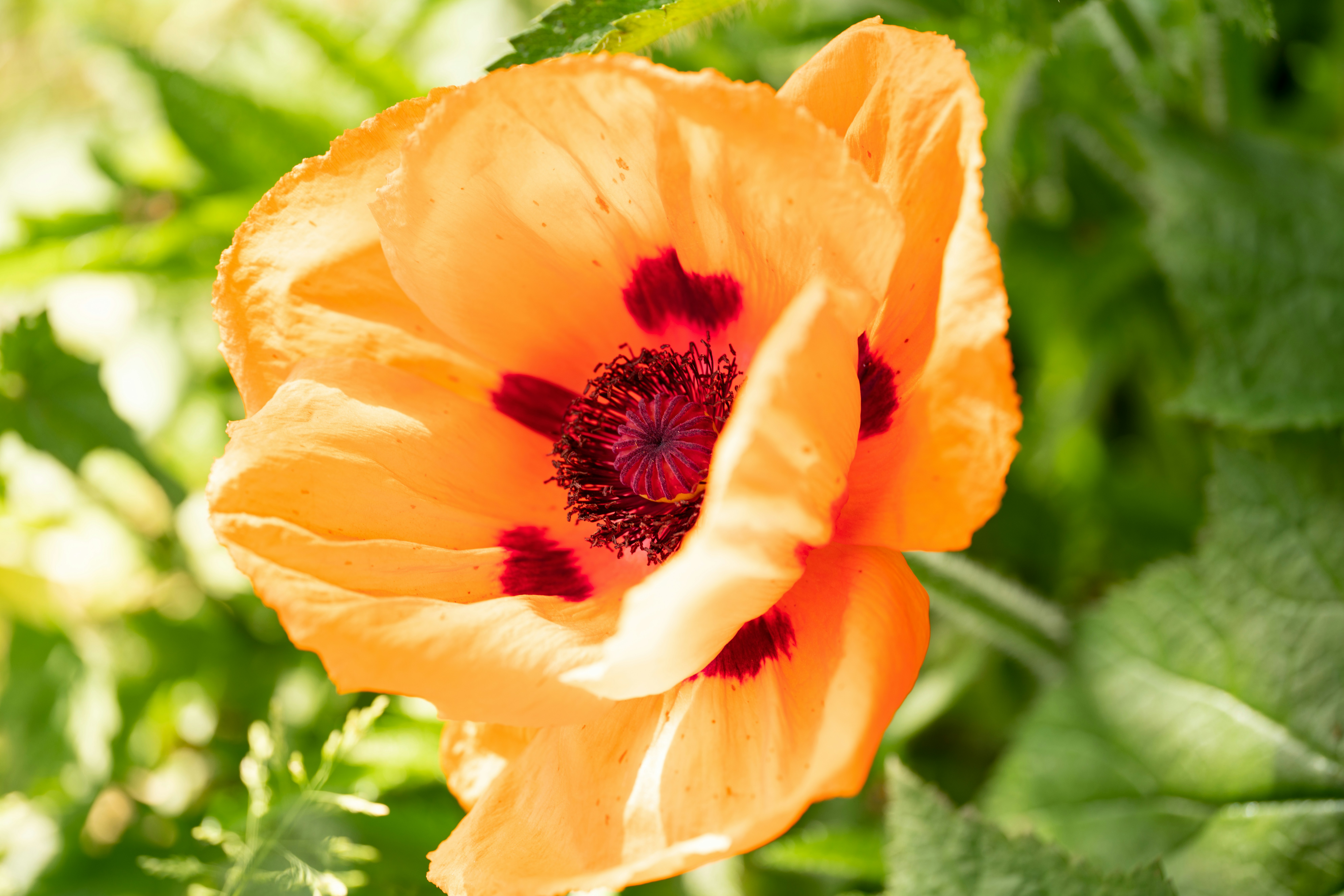 Photo by clairettemoi