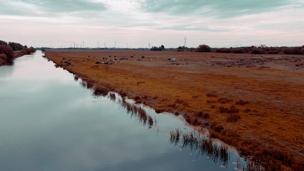 a river running through a dry grass covered field