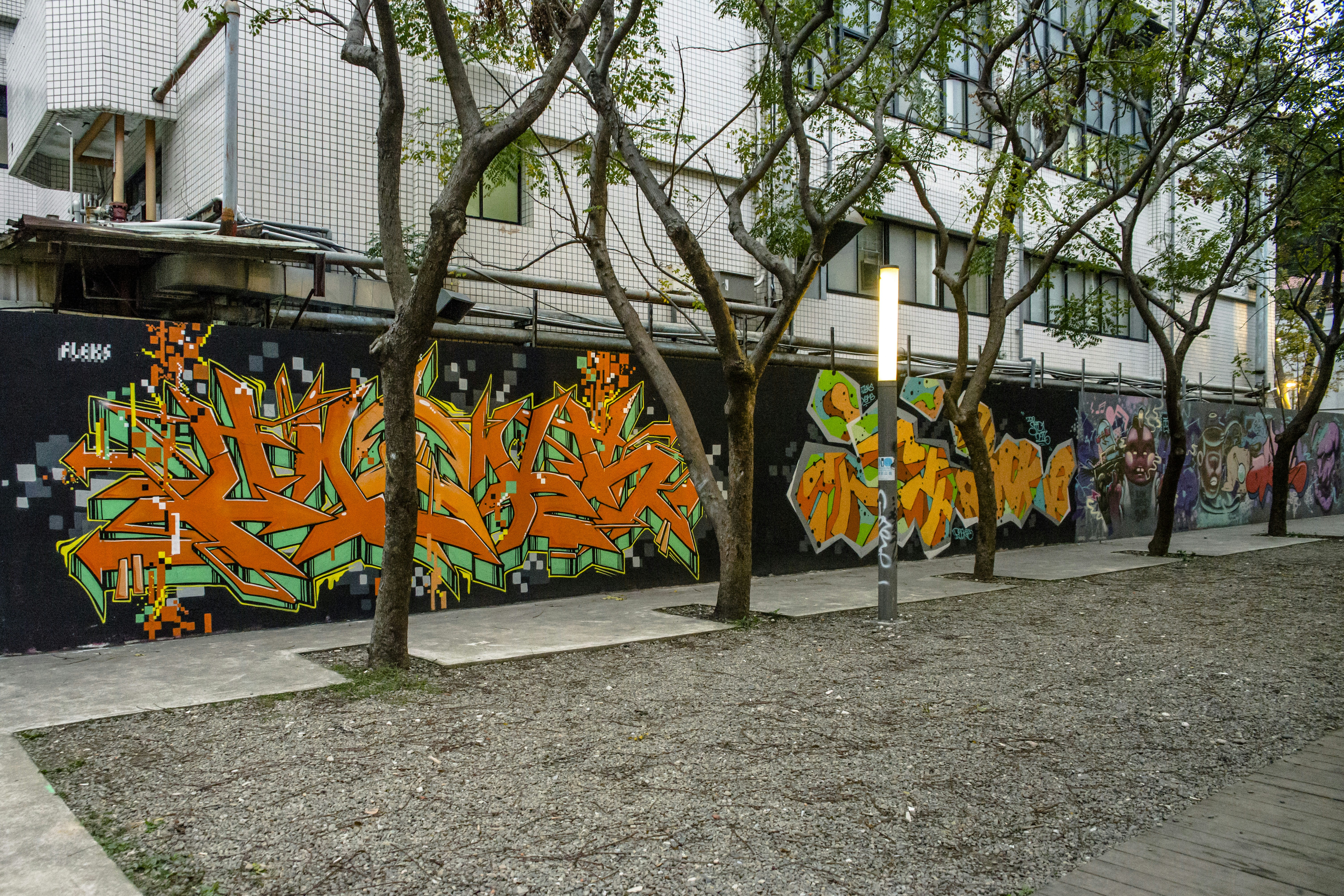 a row of trees next to a wall with graffiti on it
