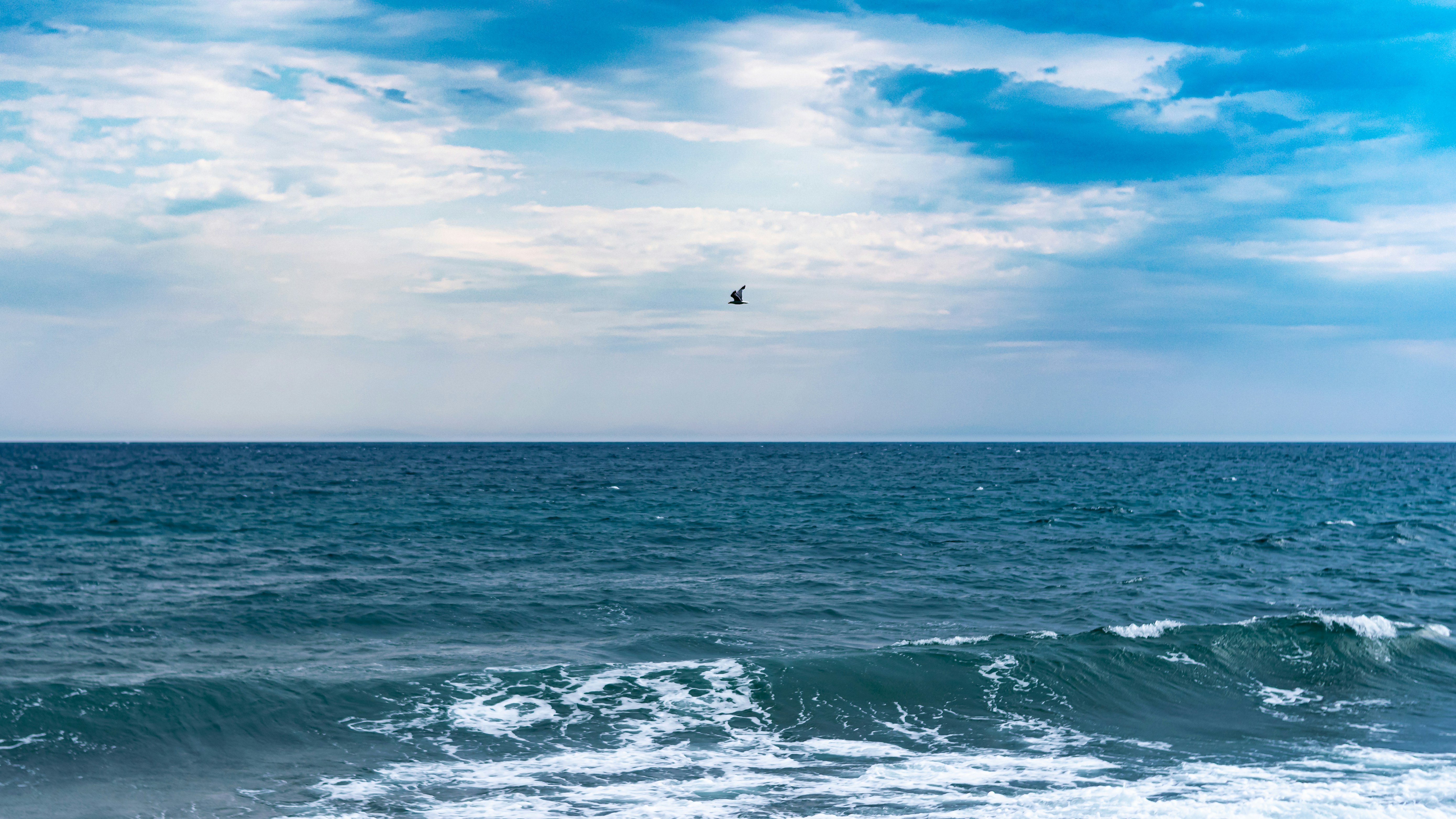 a bird flying over a large body of water