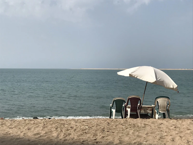 Best Time to Visit Alexandria: Month-by-Month Guide for Every Type of Traveller